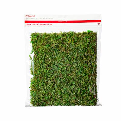 Moss Mat by Ashland®, Michaels