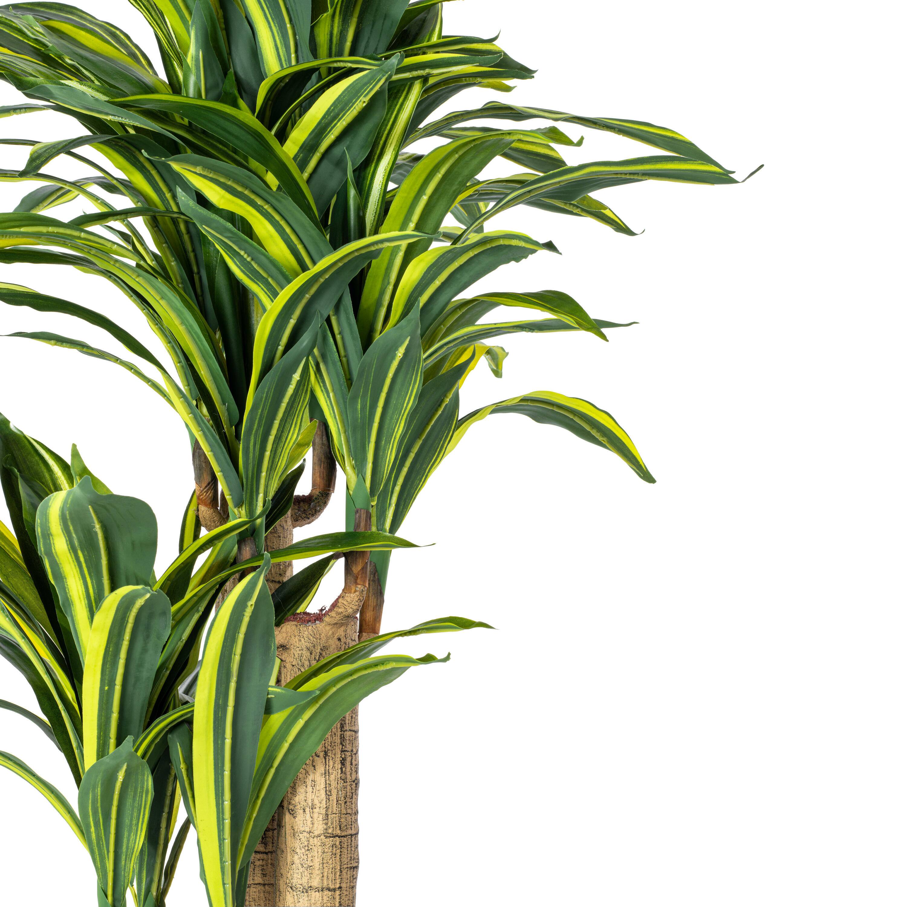 4.3ft. Potted Artificial Green & Yellow Dracaena Tree