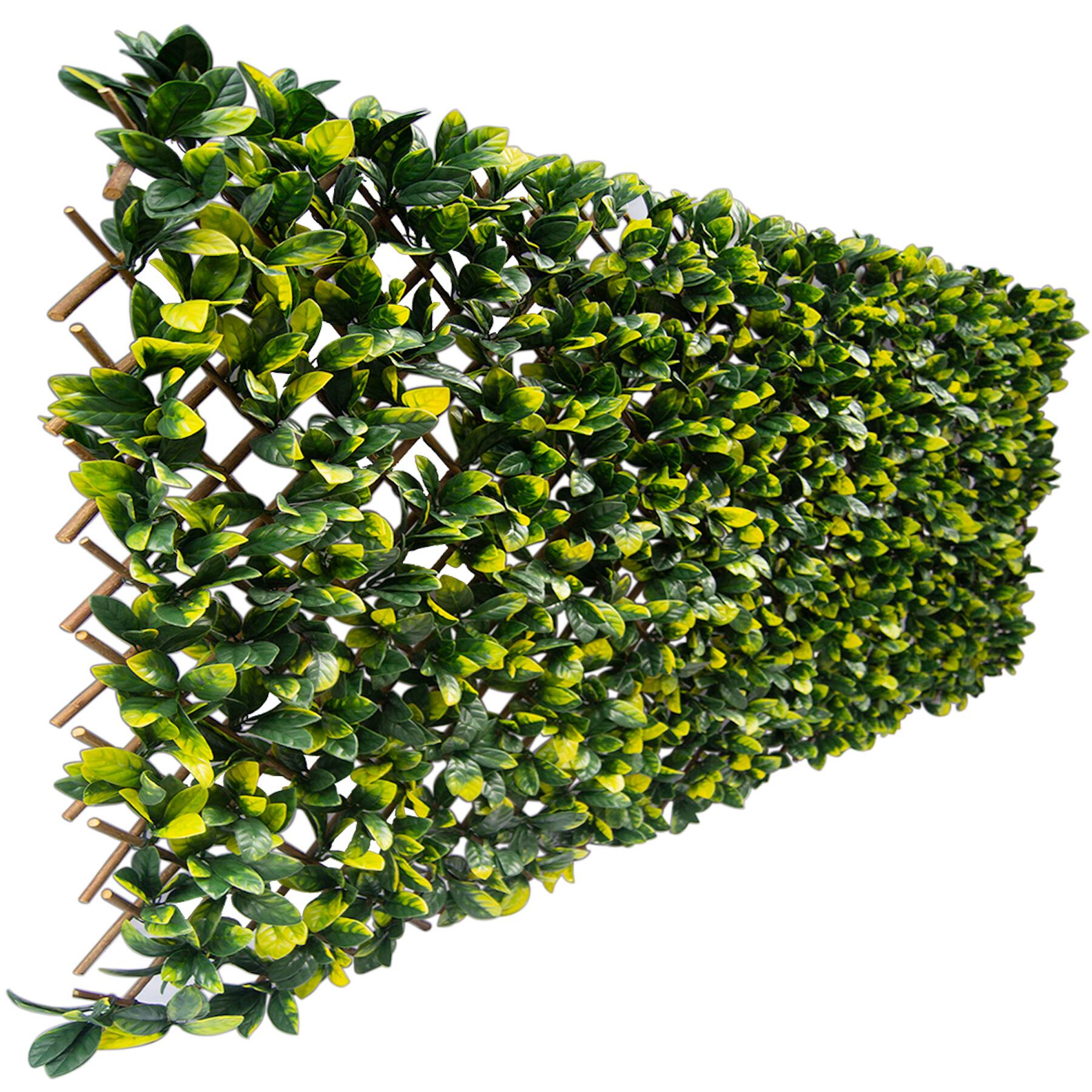 51&#x22; Expandable Lemon Leaf Lattice Screen