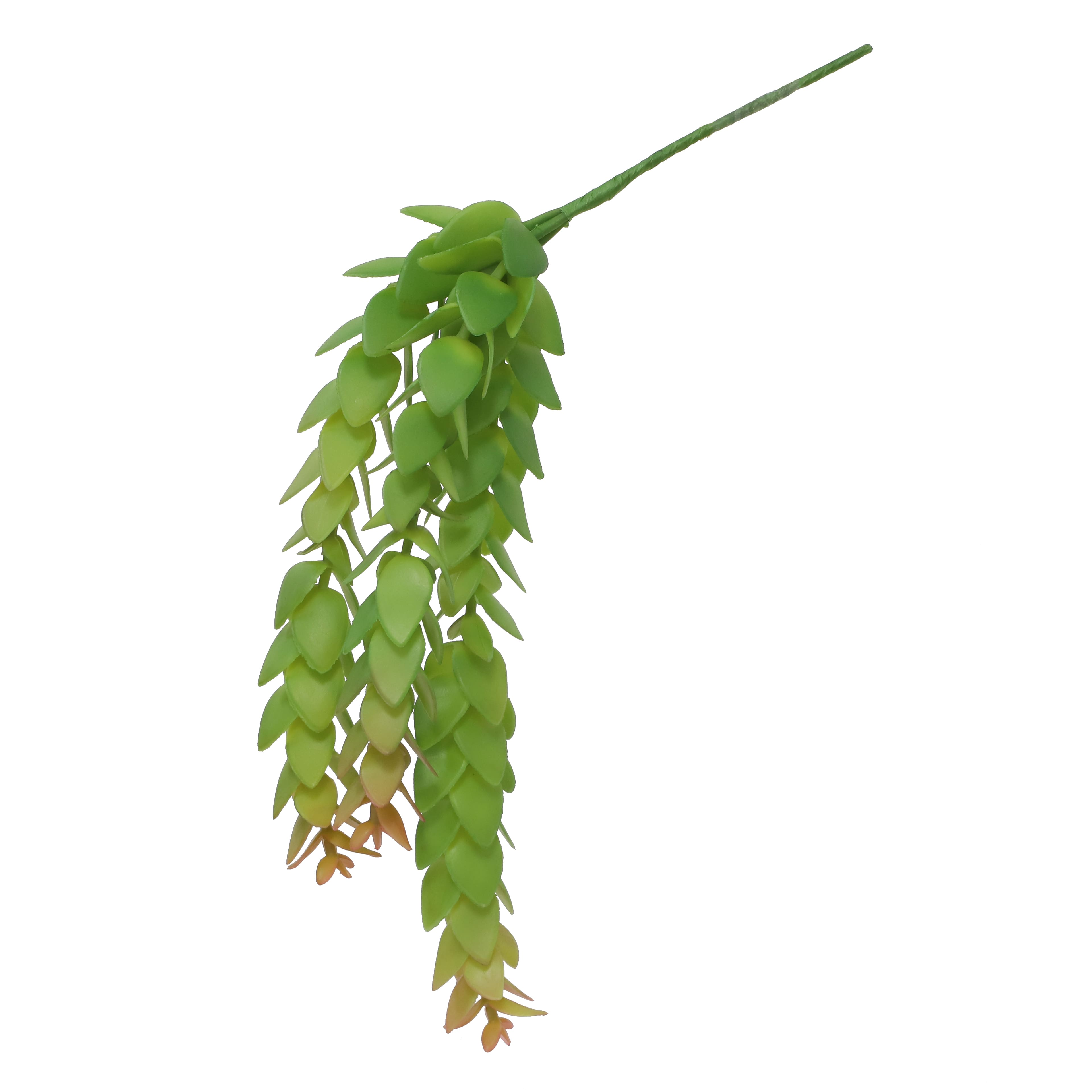 9.5" Green Hanging Jade Plant Pick by Ashland®