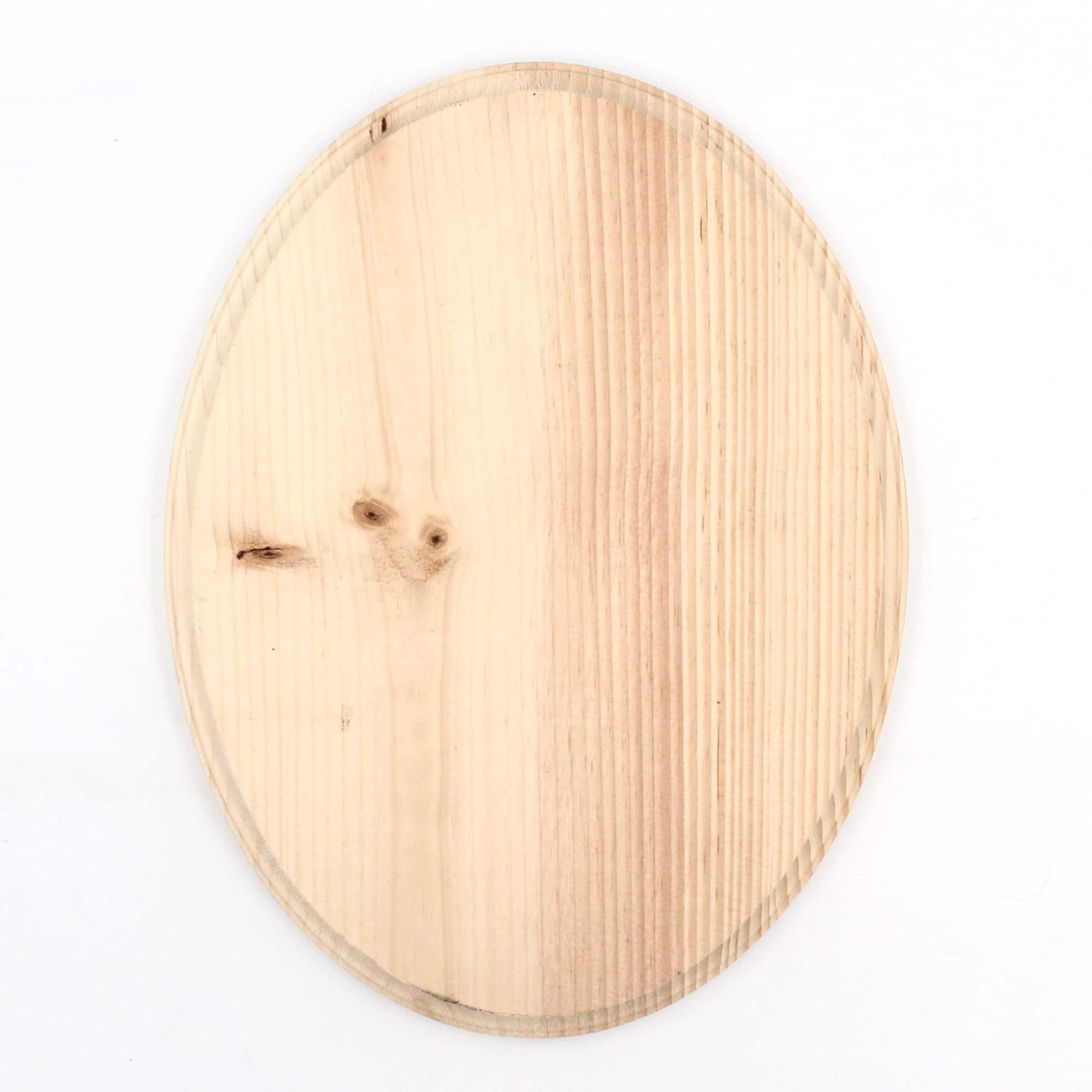 ArtSkills 9" x 12" Assorted Shapes Unfinished Wood Plaque Set