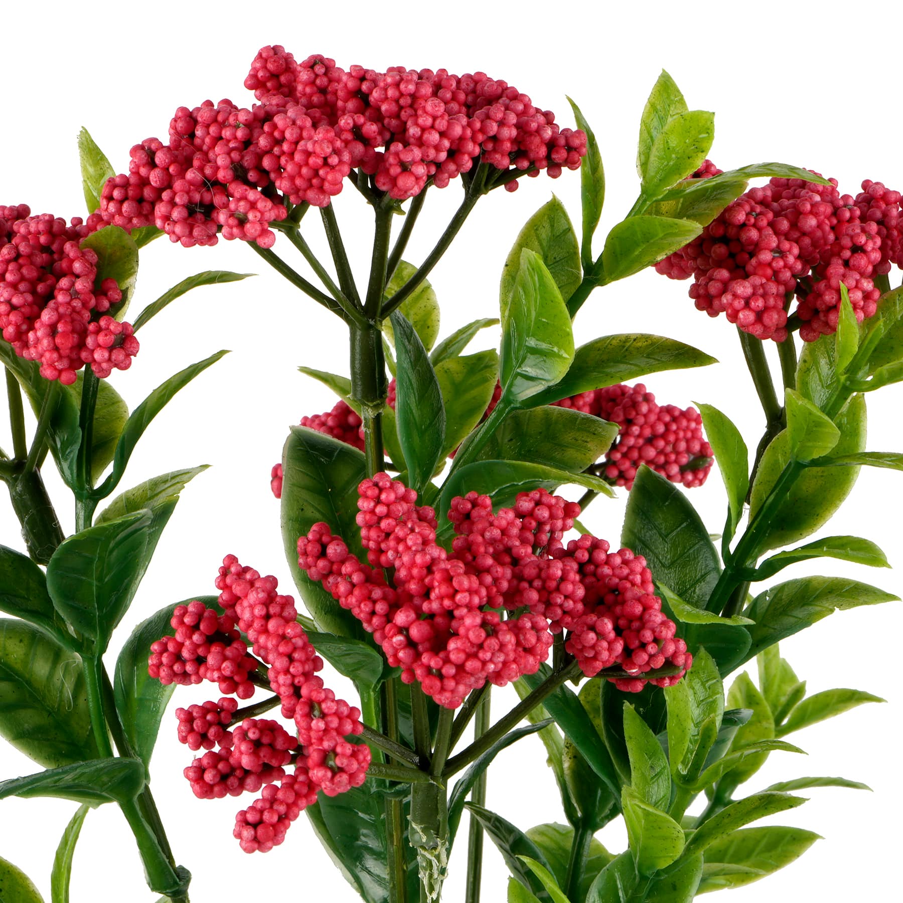 12&#x22; Berry Bush by Ashland&#xAE;
