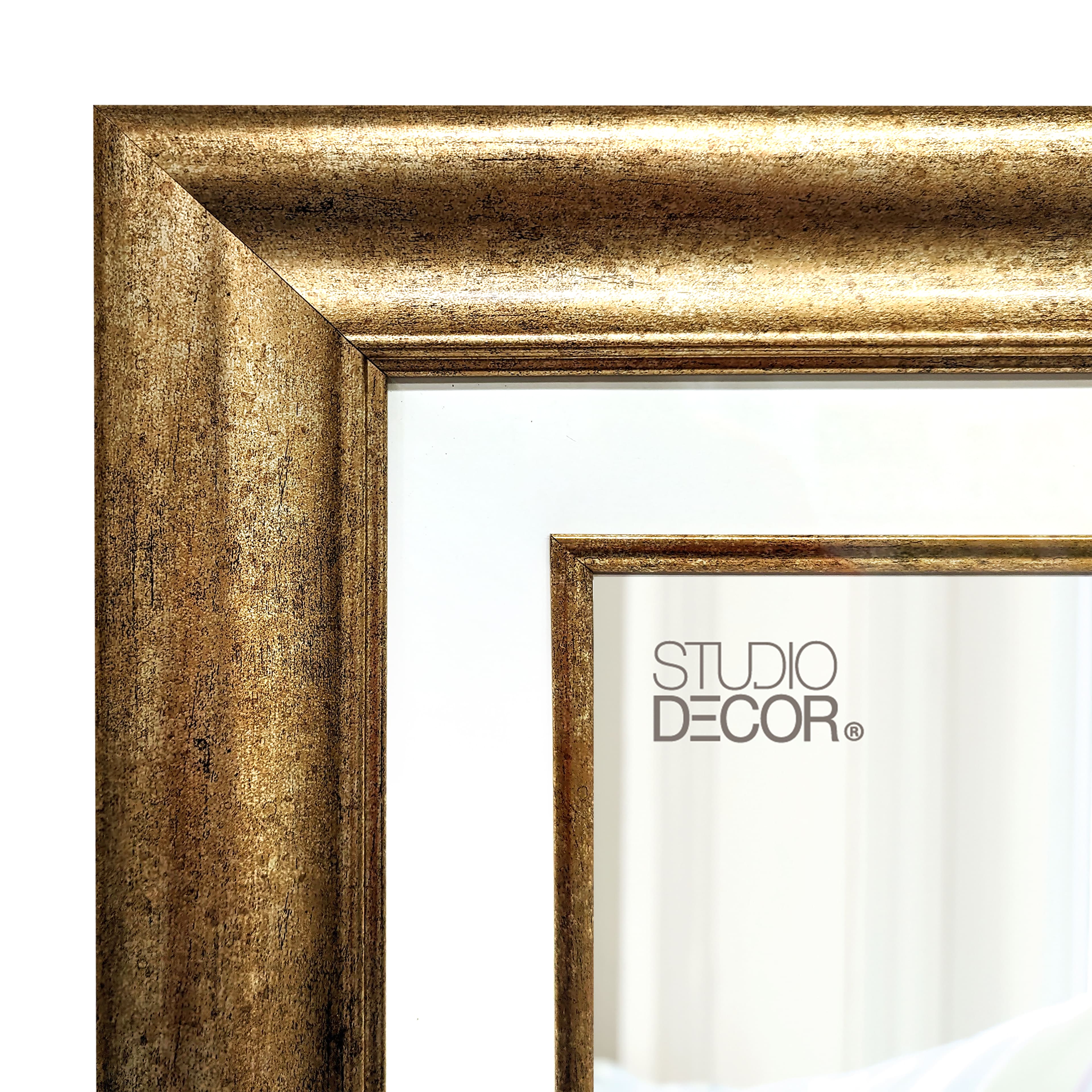 Champagne Frame, 20&#x22; x 24&#x22; With 16&#x22; x 20&#x22; Mat, Home Collection By Studio D&#xE9;cor&#xAE;