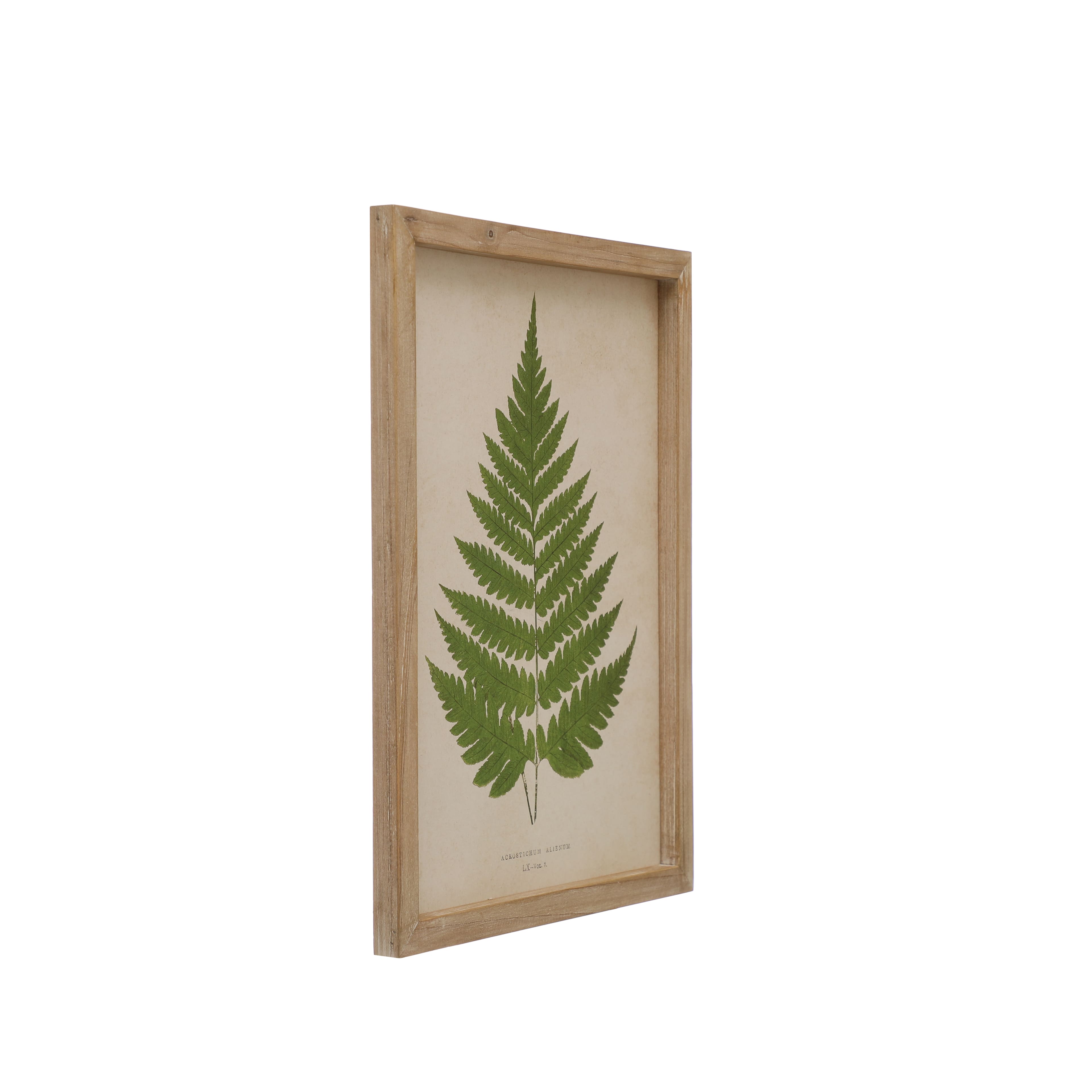 Fern Art Print Wall D&#xE9;cor by Ashland&#xAE;