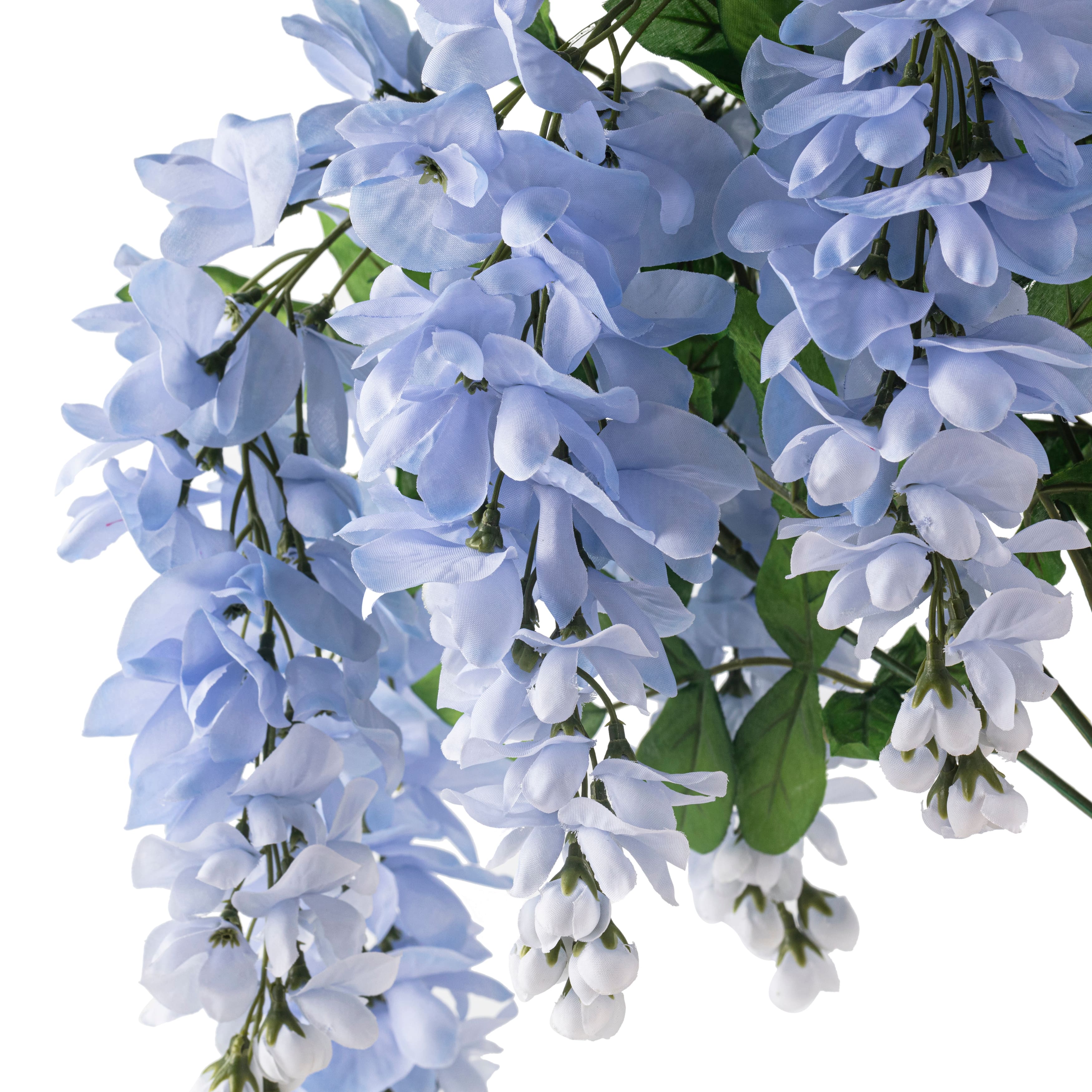 Blue Wisteria Bush by Ashland®