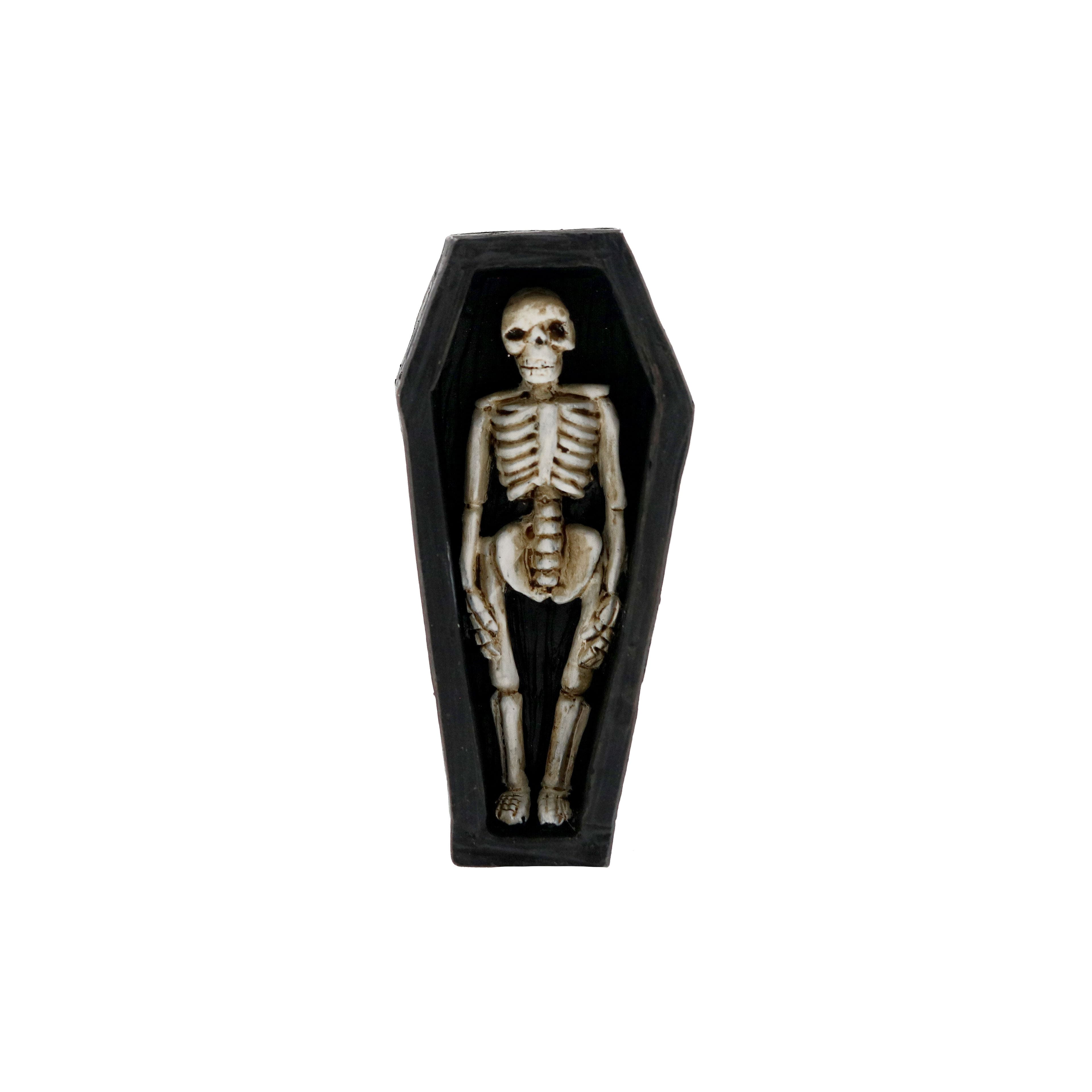 Mini Skeleton in Black Coffin by Ashland&#xAE;