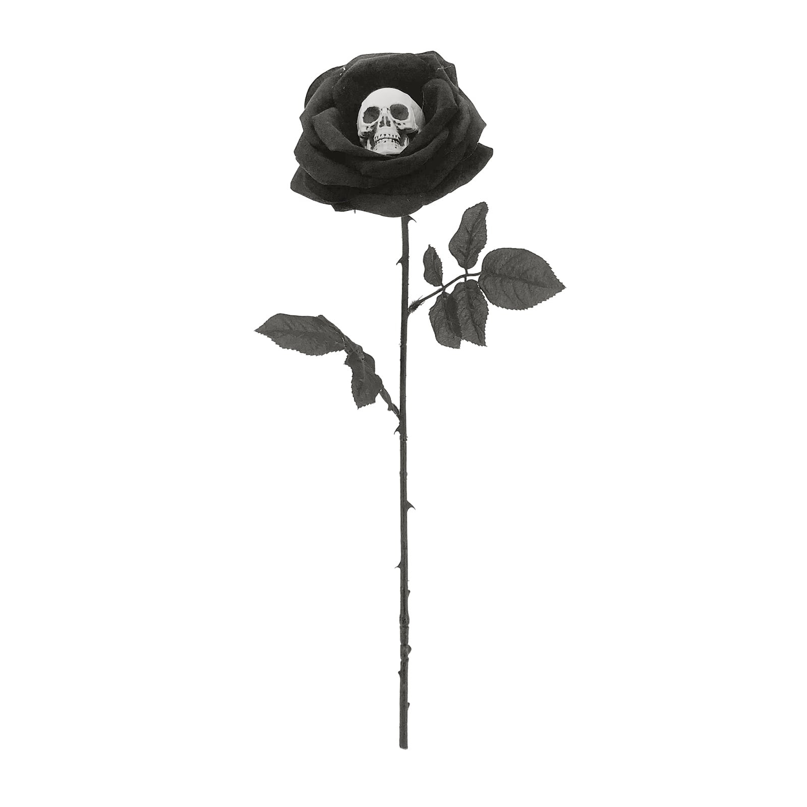 22&#x22; Black-Purple Rose with Skull Stem by Ashland&#xAE;