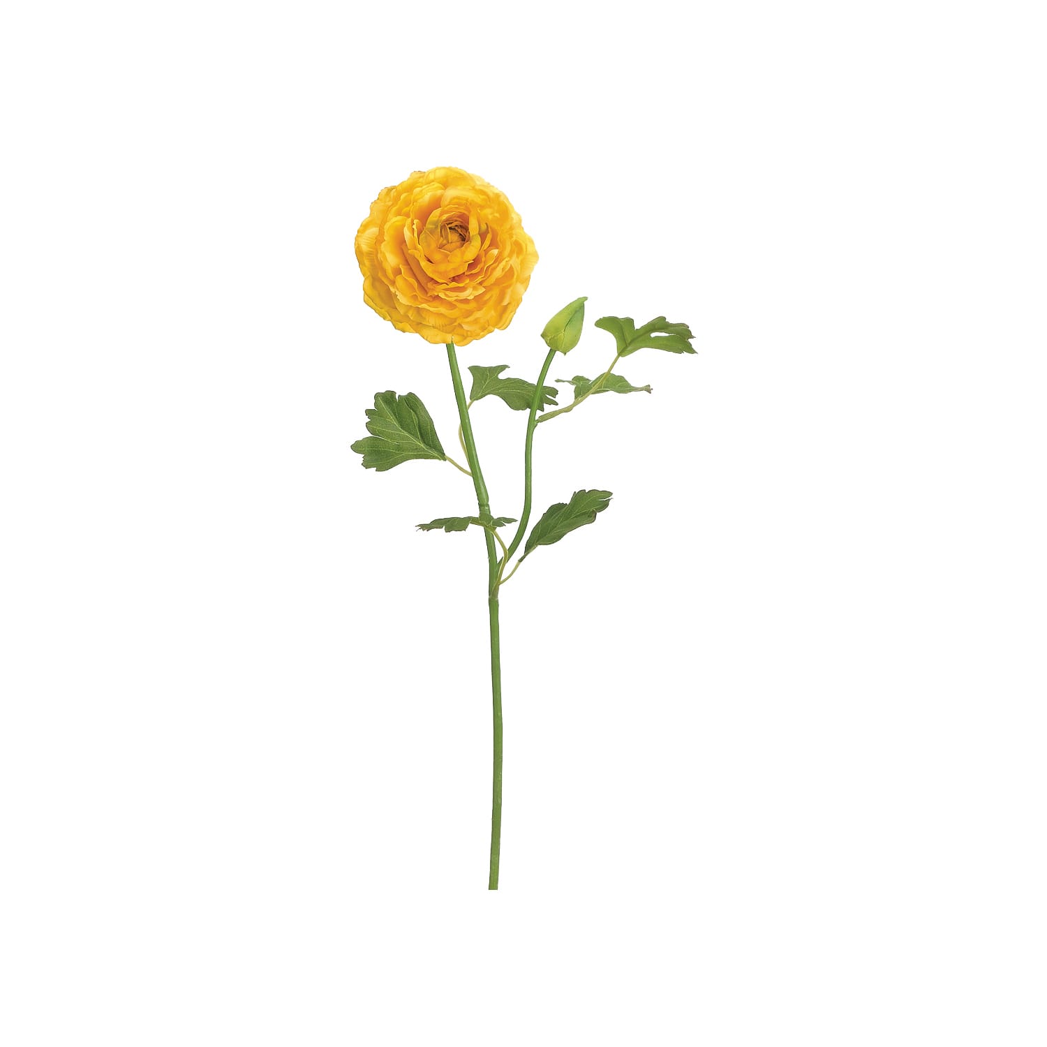 Yellow Ranunculus Spray 