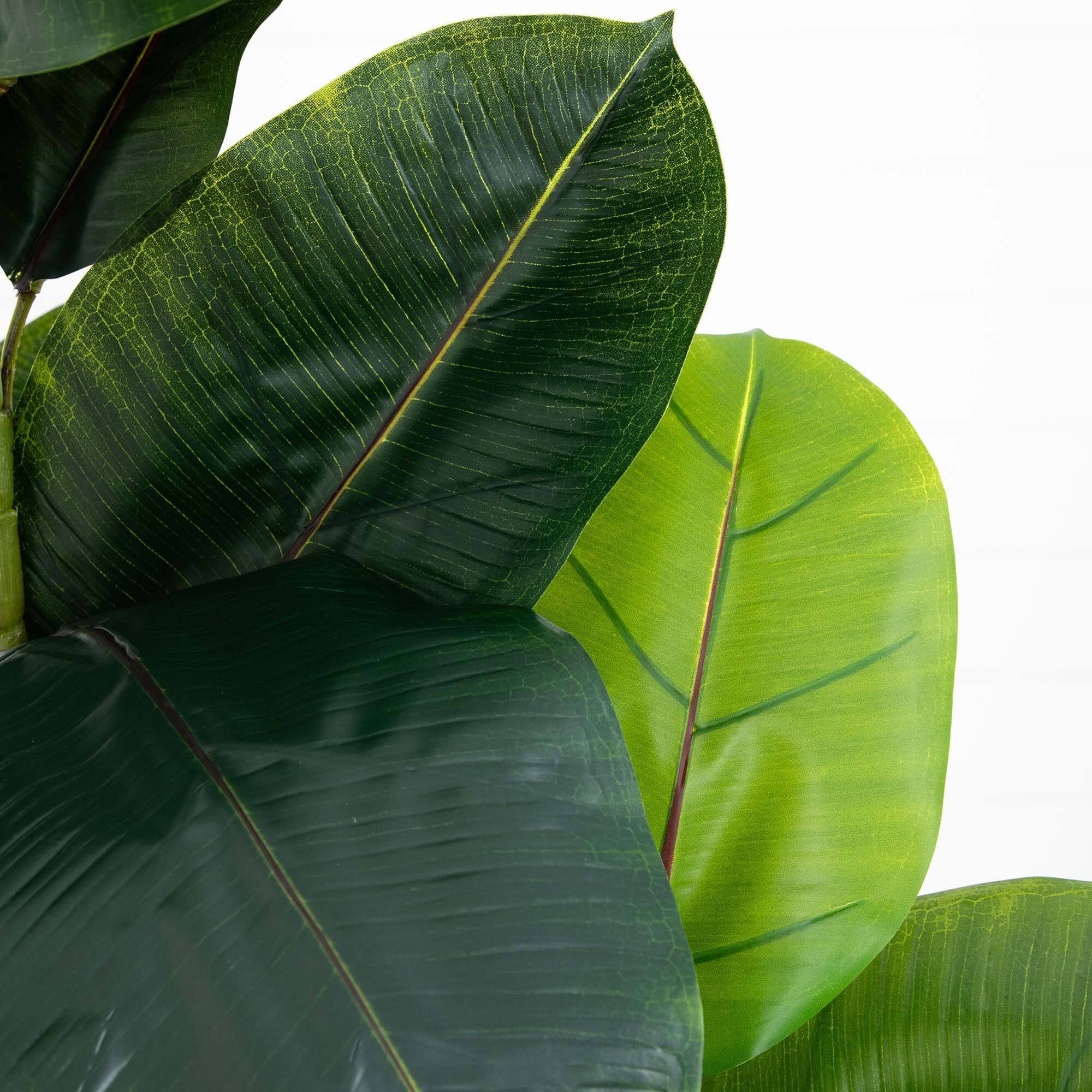 6ft. Rubber Tree in Decorative Planter with Real Touch Leaves