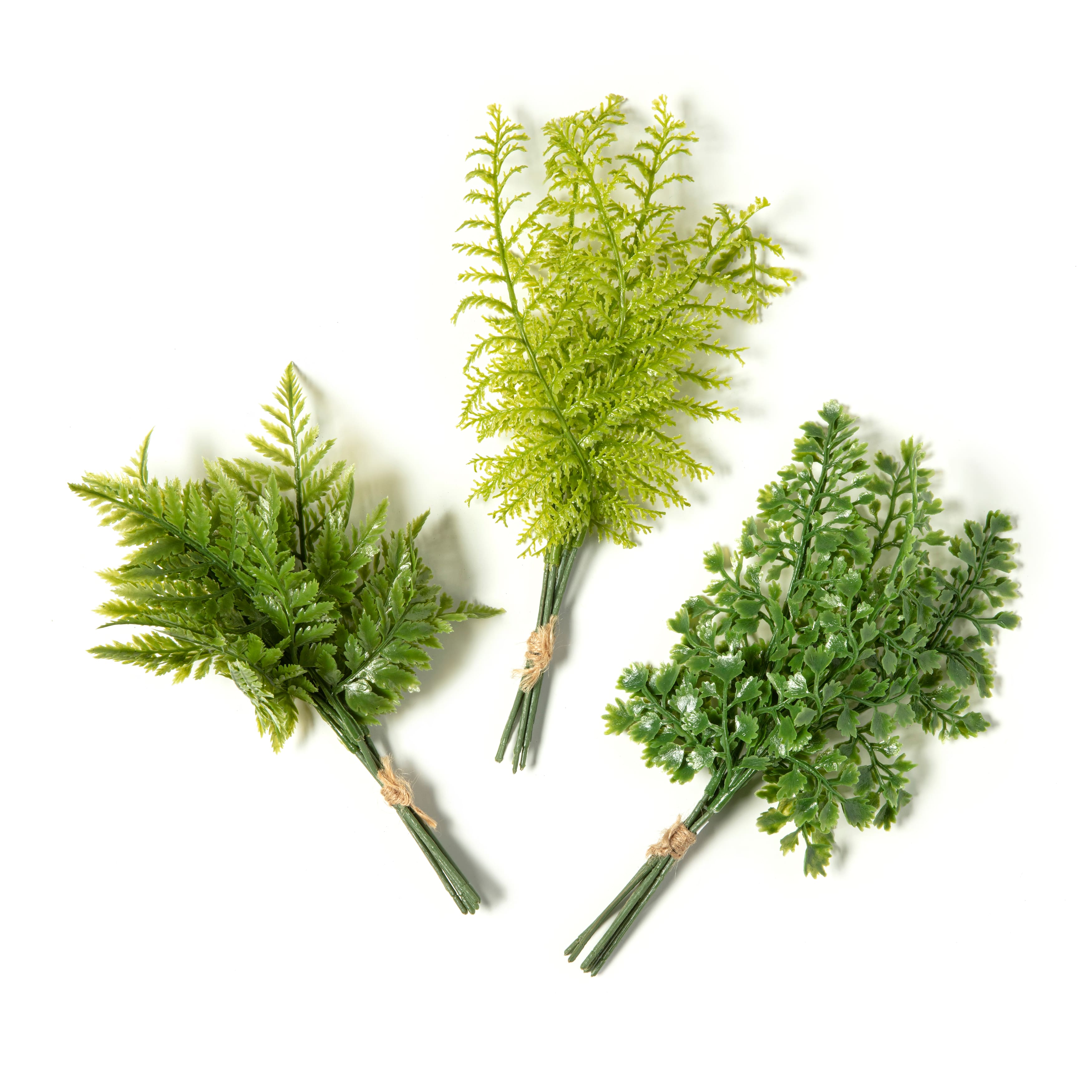 12 Pack: Assorted Green Fern Bundle by Ashland&#xAE;