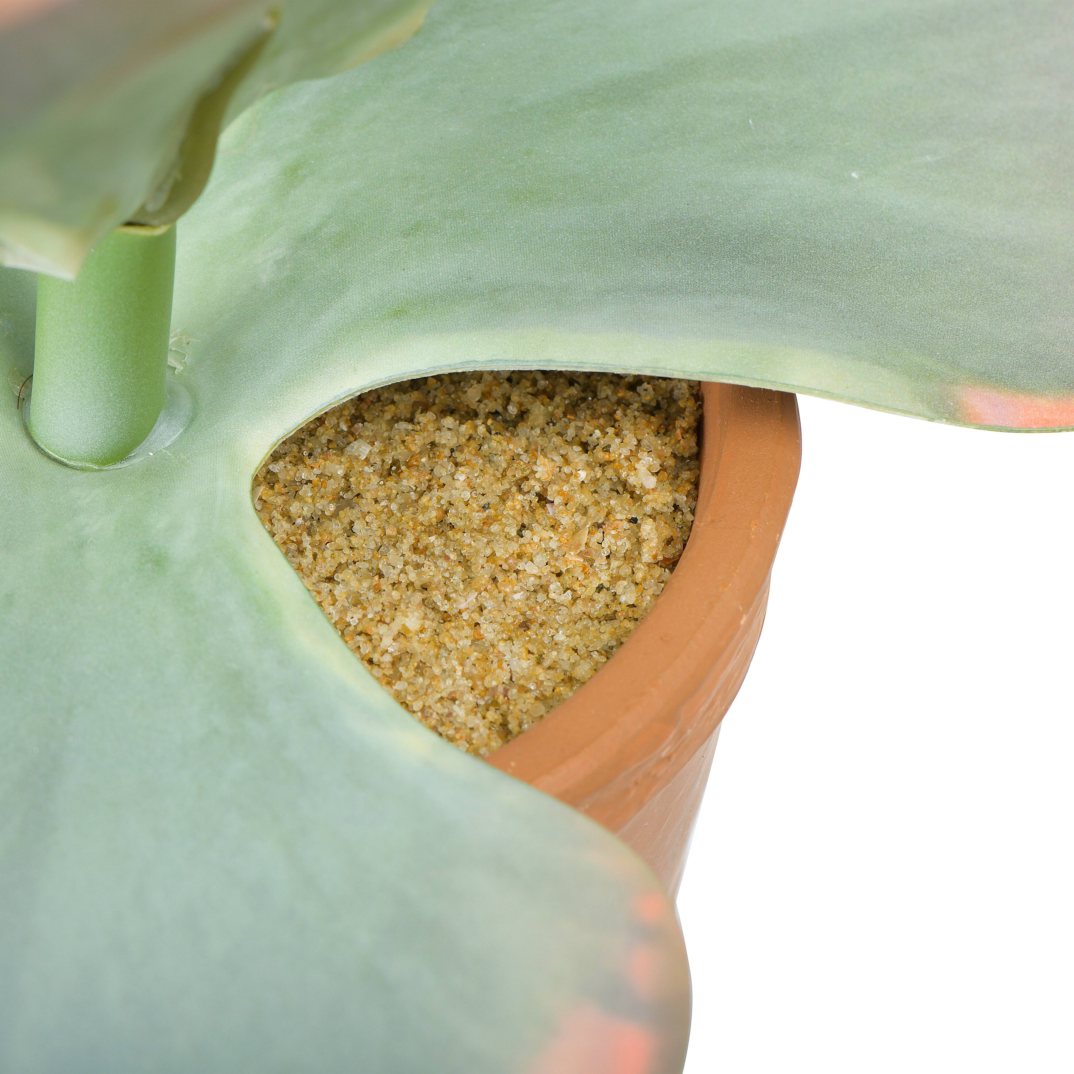 Hello Honey® 18" Faux Succulent in Terra Cotta Colored Pot