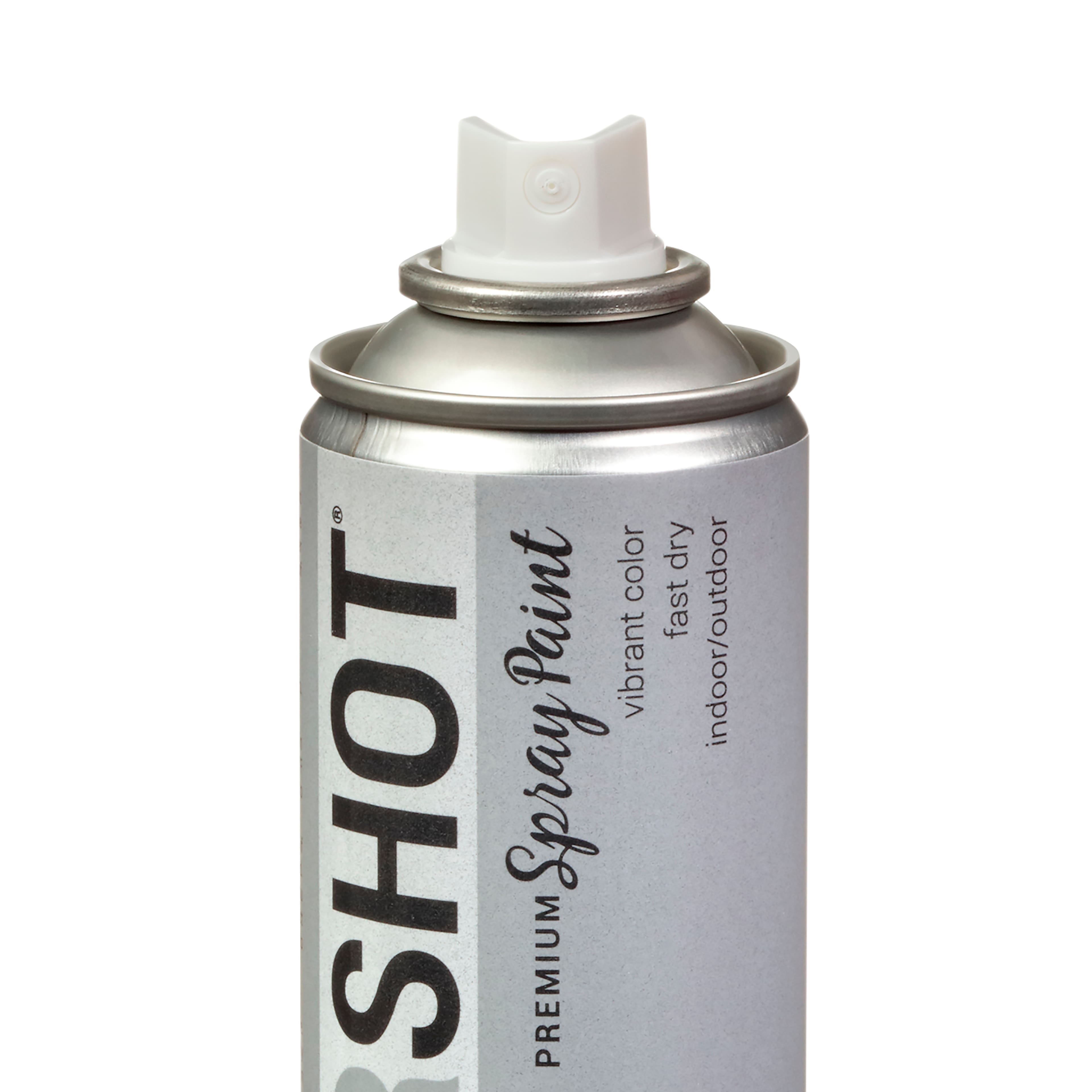 COLORSHOT® Premium Metallic Spray Paint