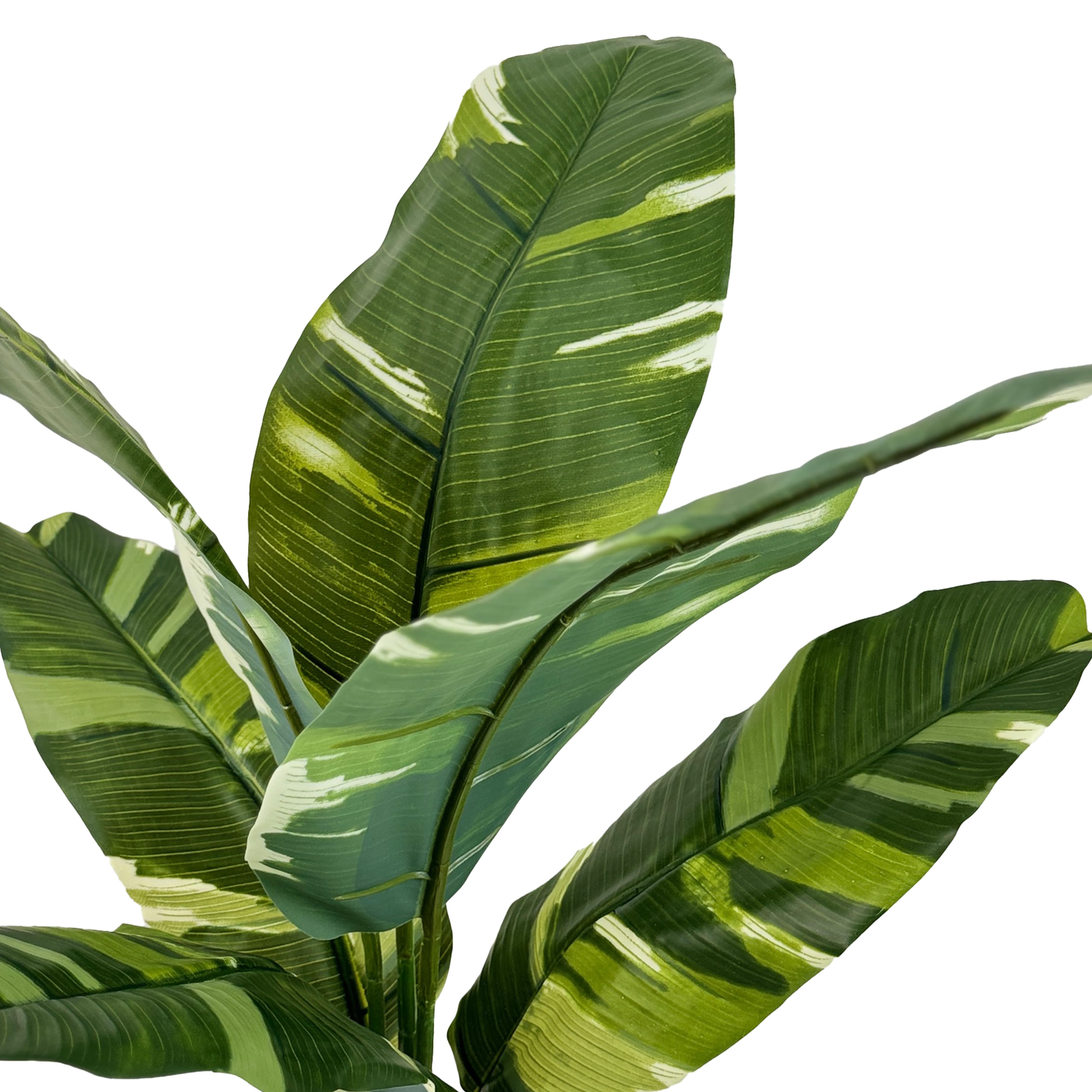 2.5ft. Potted Banana Leaf Plant by Ashland&#xAE;