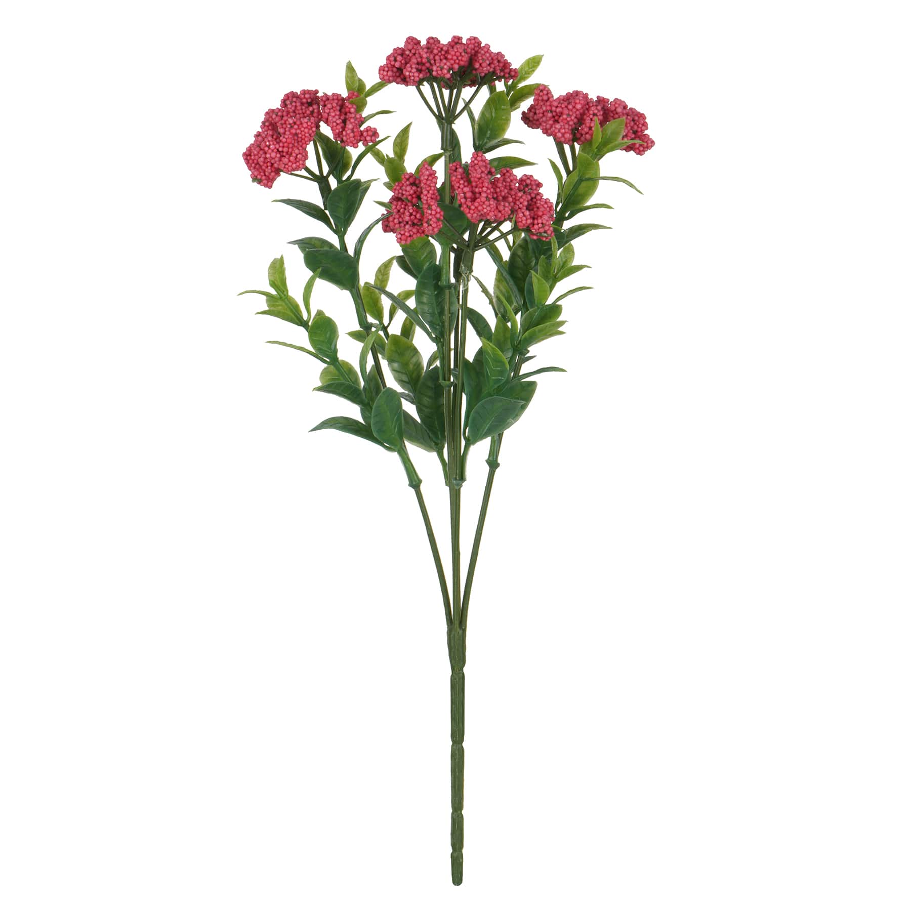 12&#x22; Berry Bush by Ashland&#xAE;