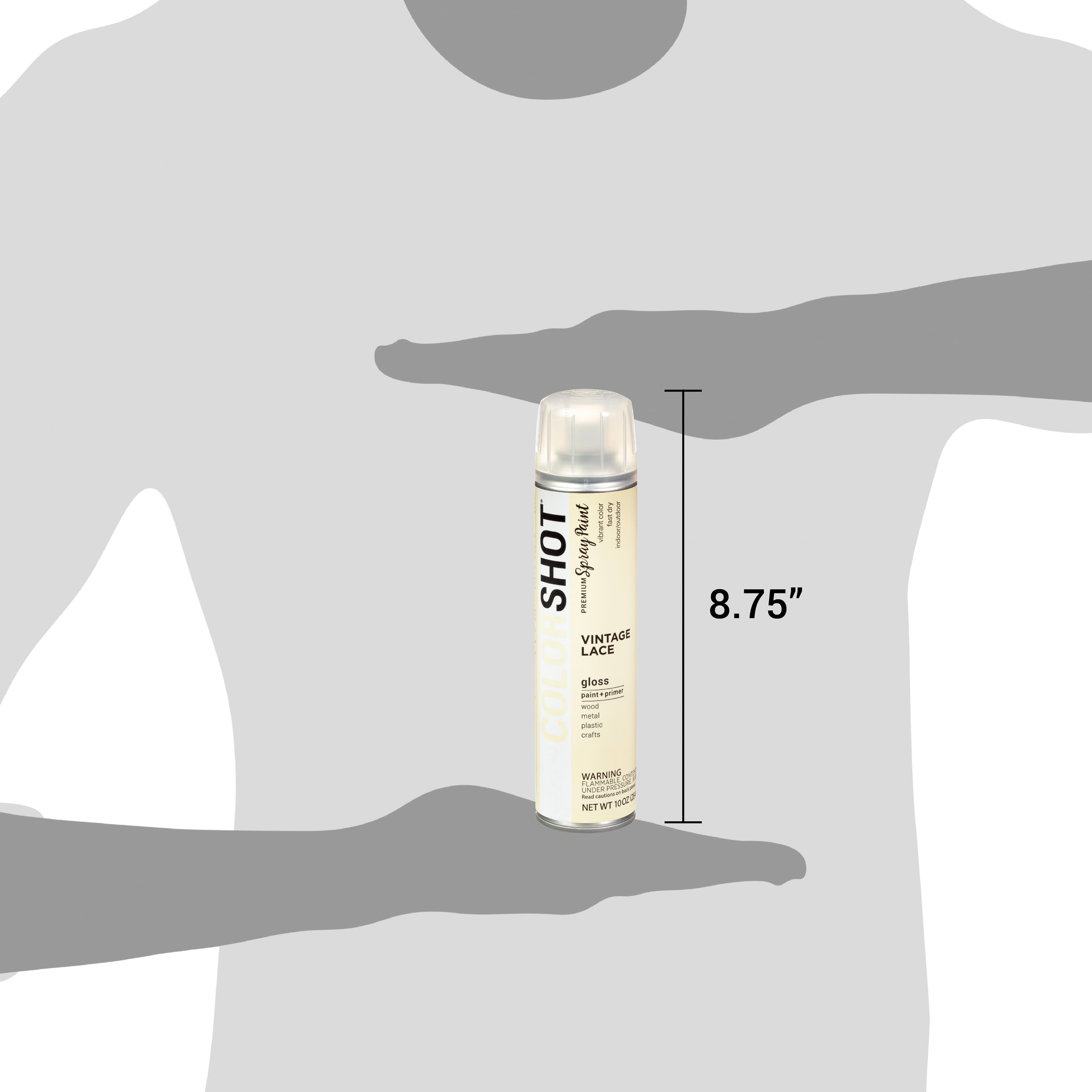 COLORSHOT® Premium Gloss Spray Paint