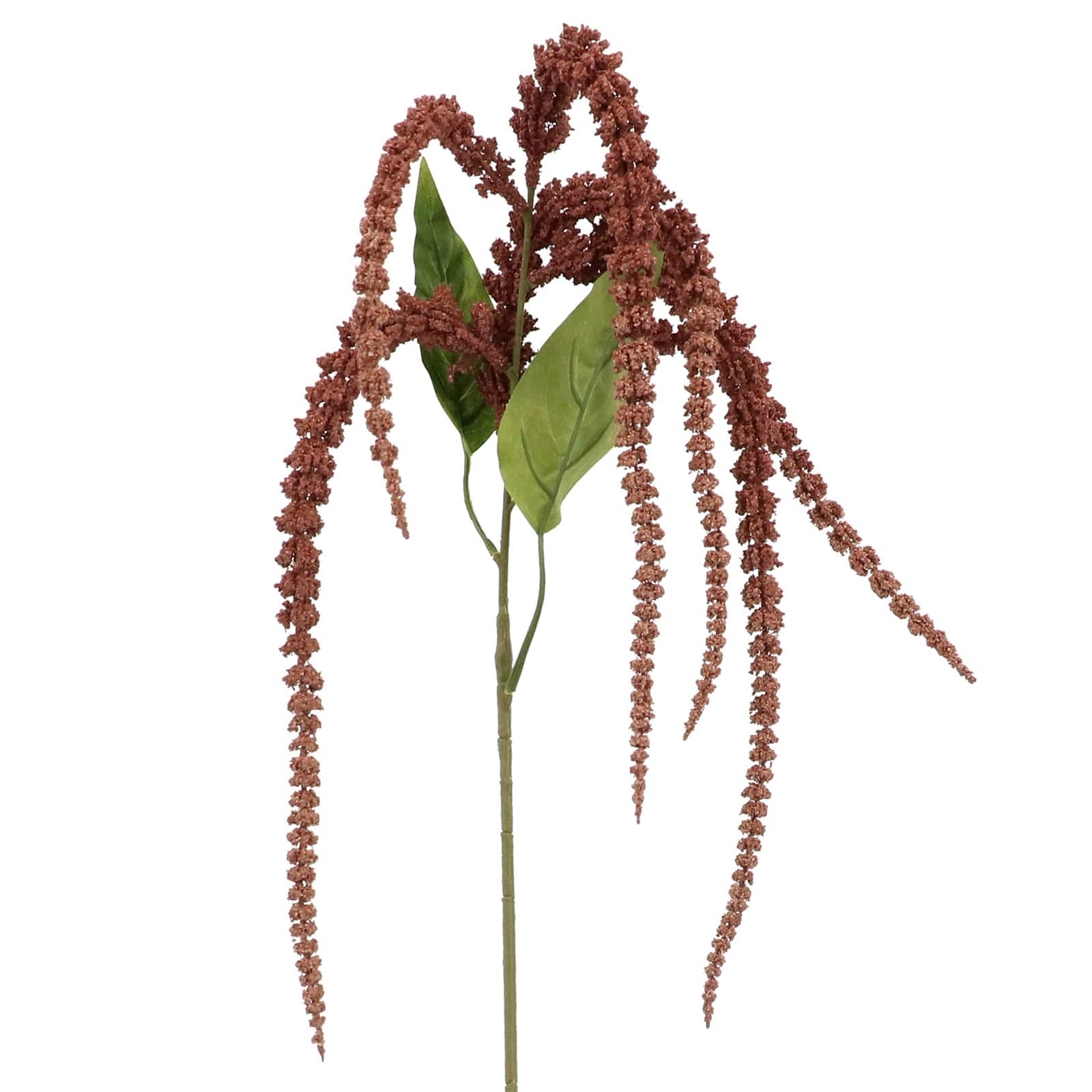 Blush Amaranthus Stem by Ashland&#xAE;