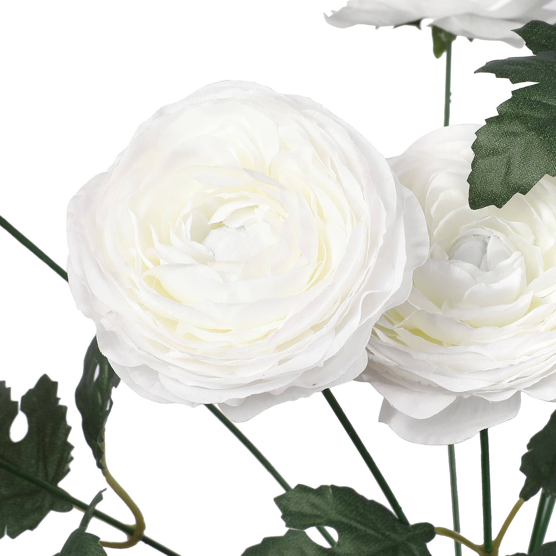 18&#x22; Ranunculus Bush by Ashland&#xAE;