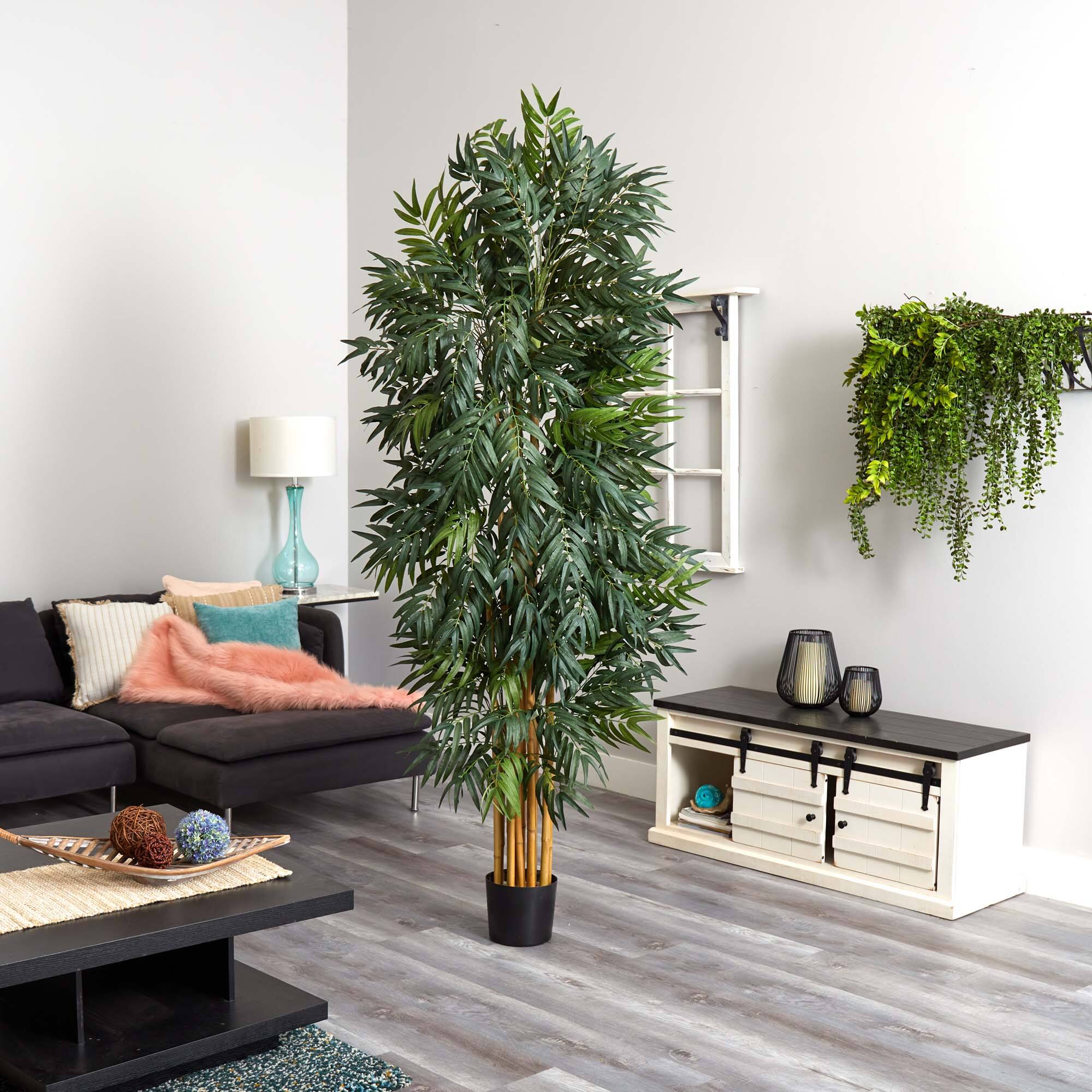 7.5ft. Potted Phoenix Palm Tree