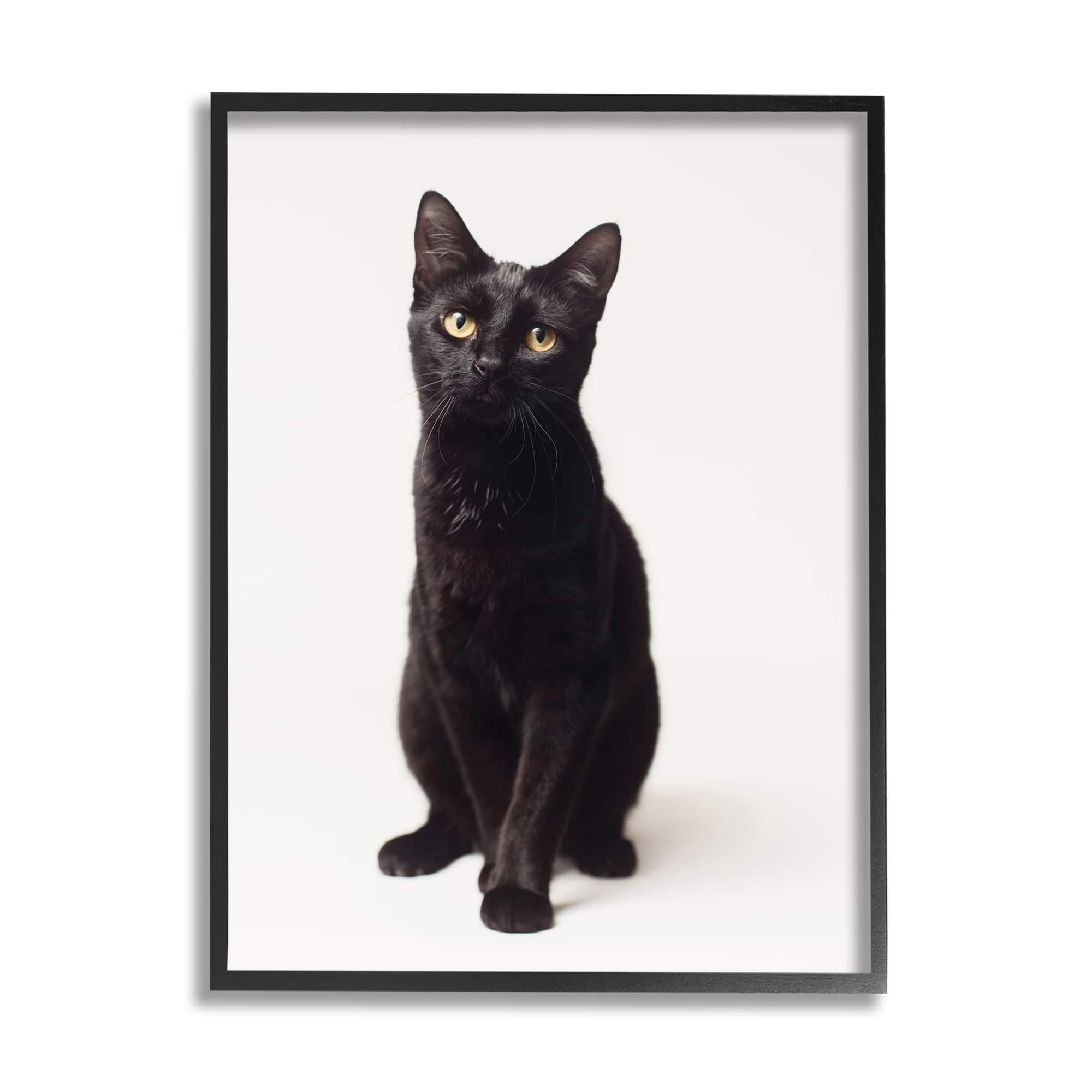 Stupell Industries Cute Black Cat Expressive Eyes Pet Portrait in Black Frame Wall Art