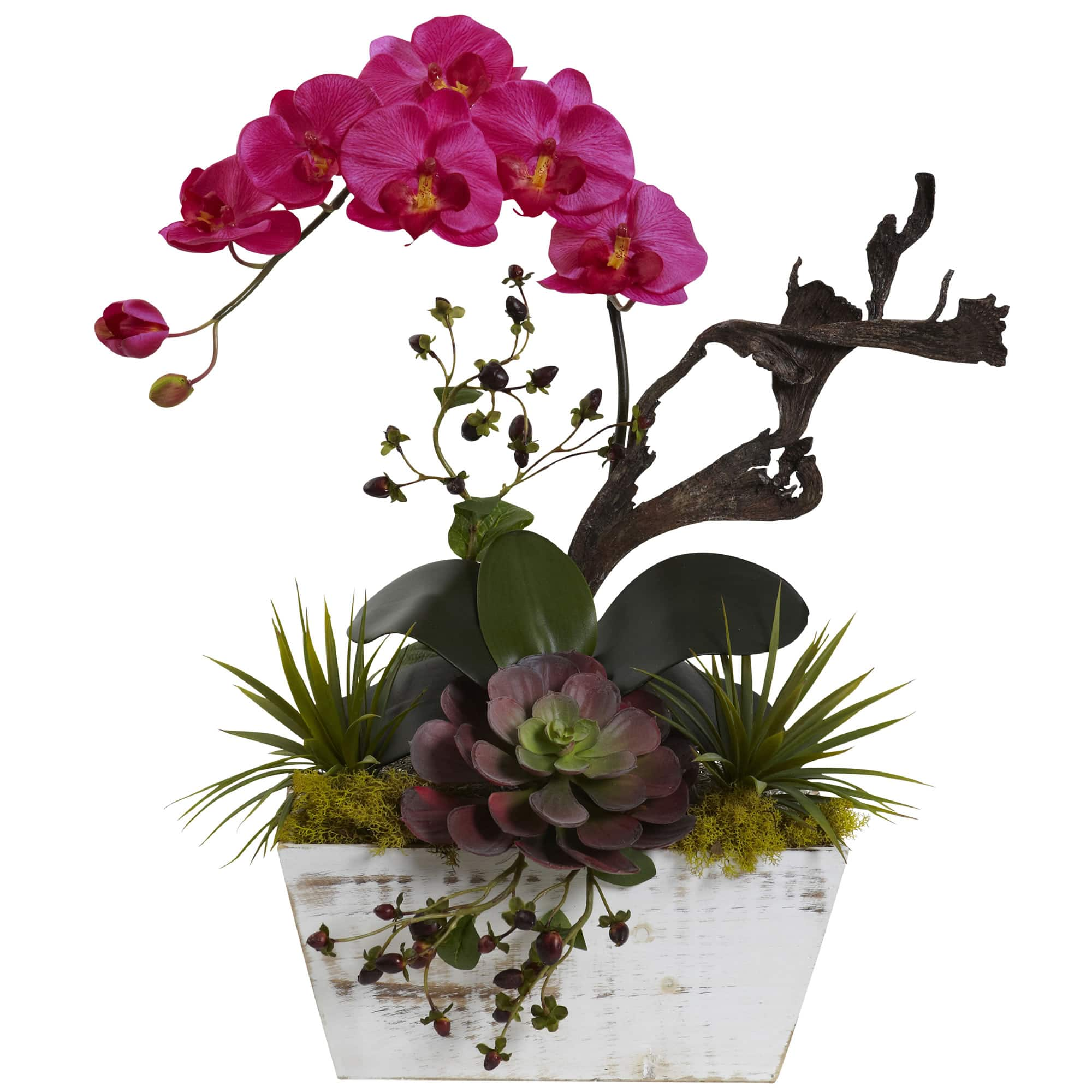 21&#x22; Beauty Orchid &#x26; Succulent Garden with Whitewashed Planter