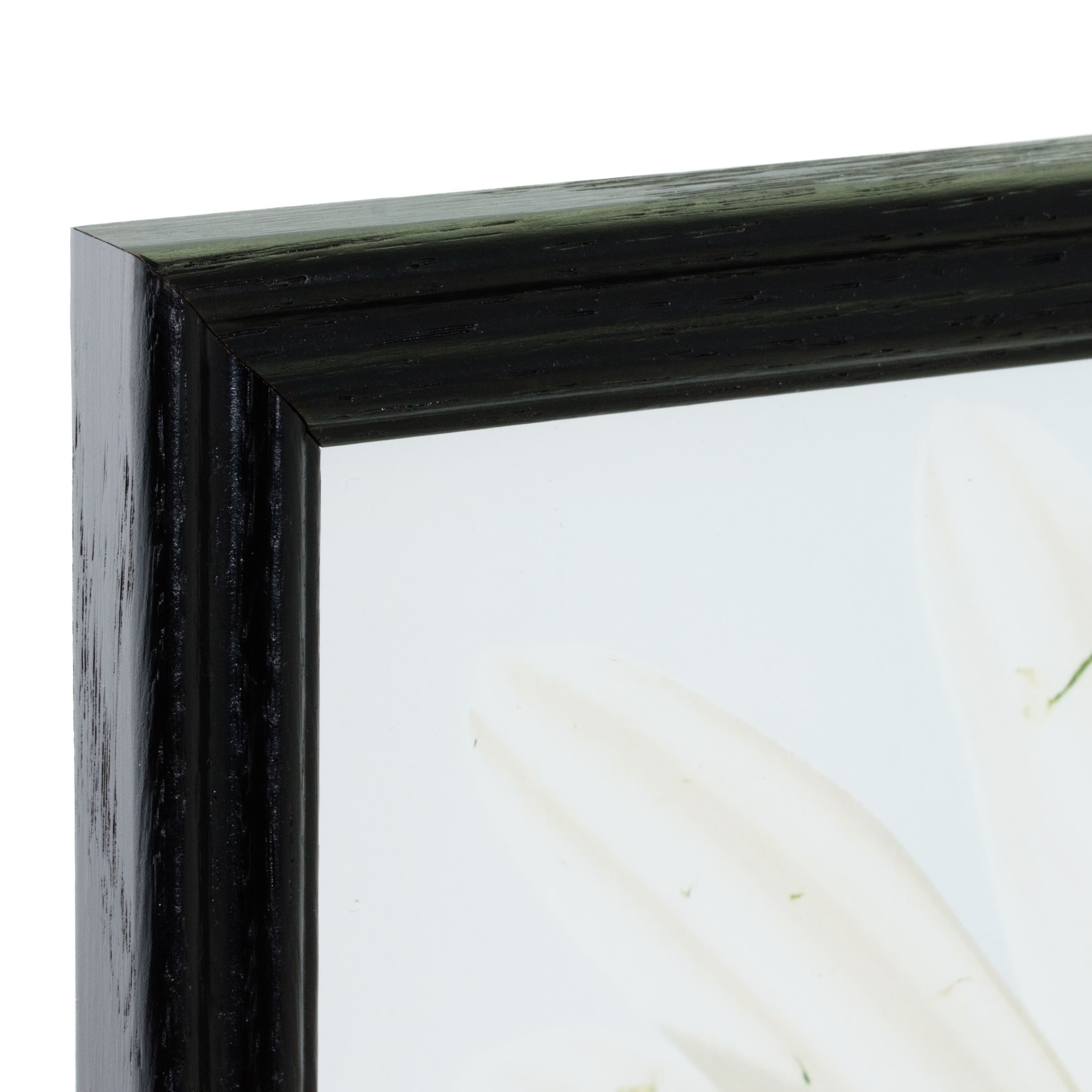 Craig Frames 4 Pack: Wiltshire 200 Ebony Picture Frame with Mat