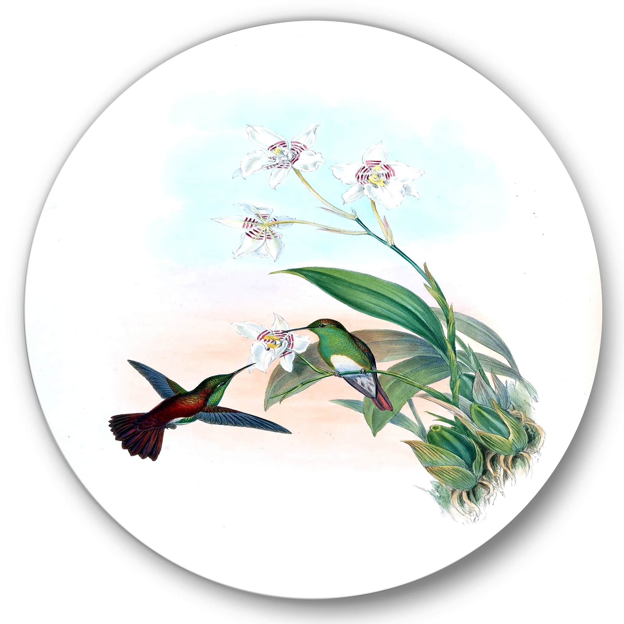Designart - Vintage Hummingbird Flying To A Flower - Traditional Metal Circle Wall Art