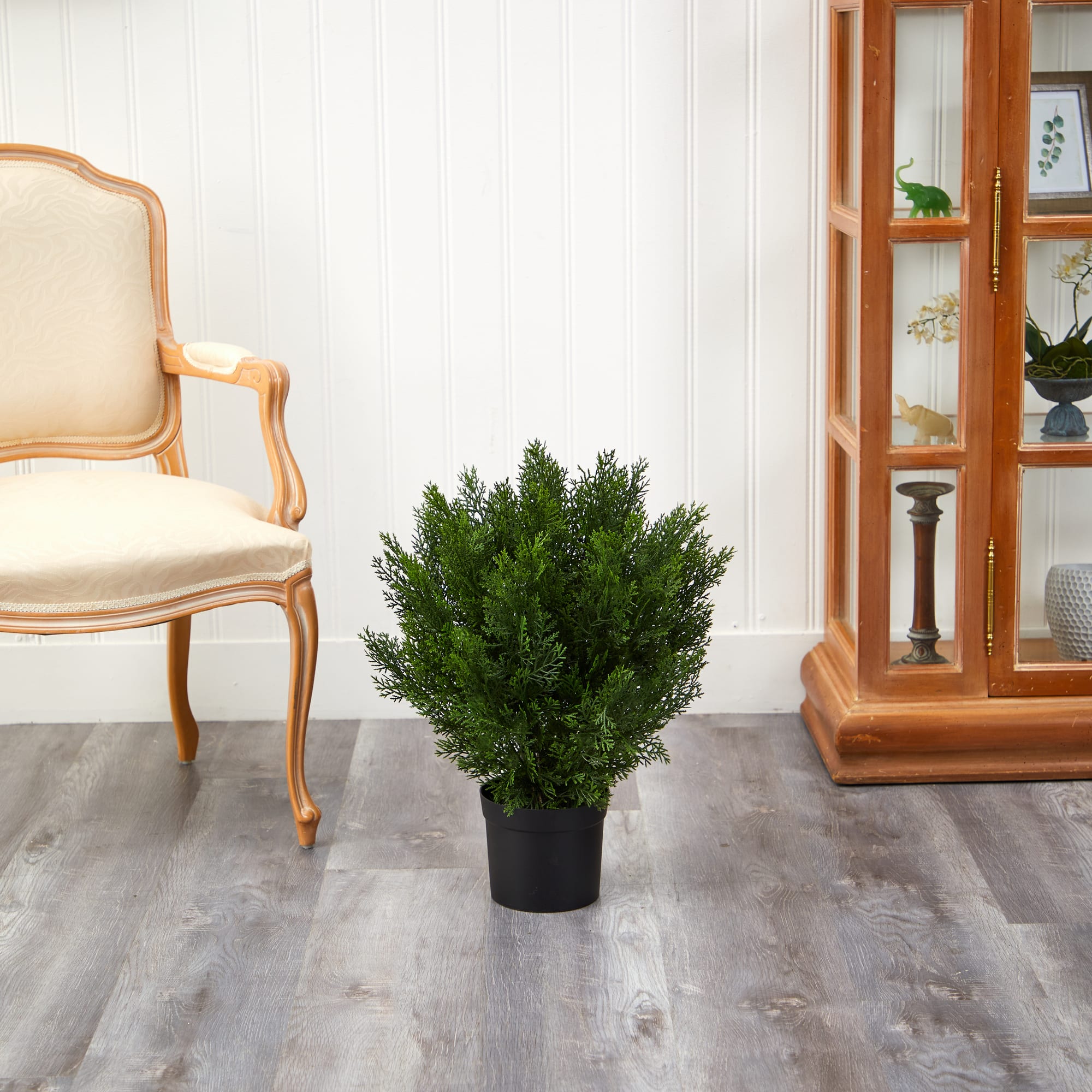 2ft. Potted Cedar Bush