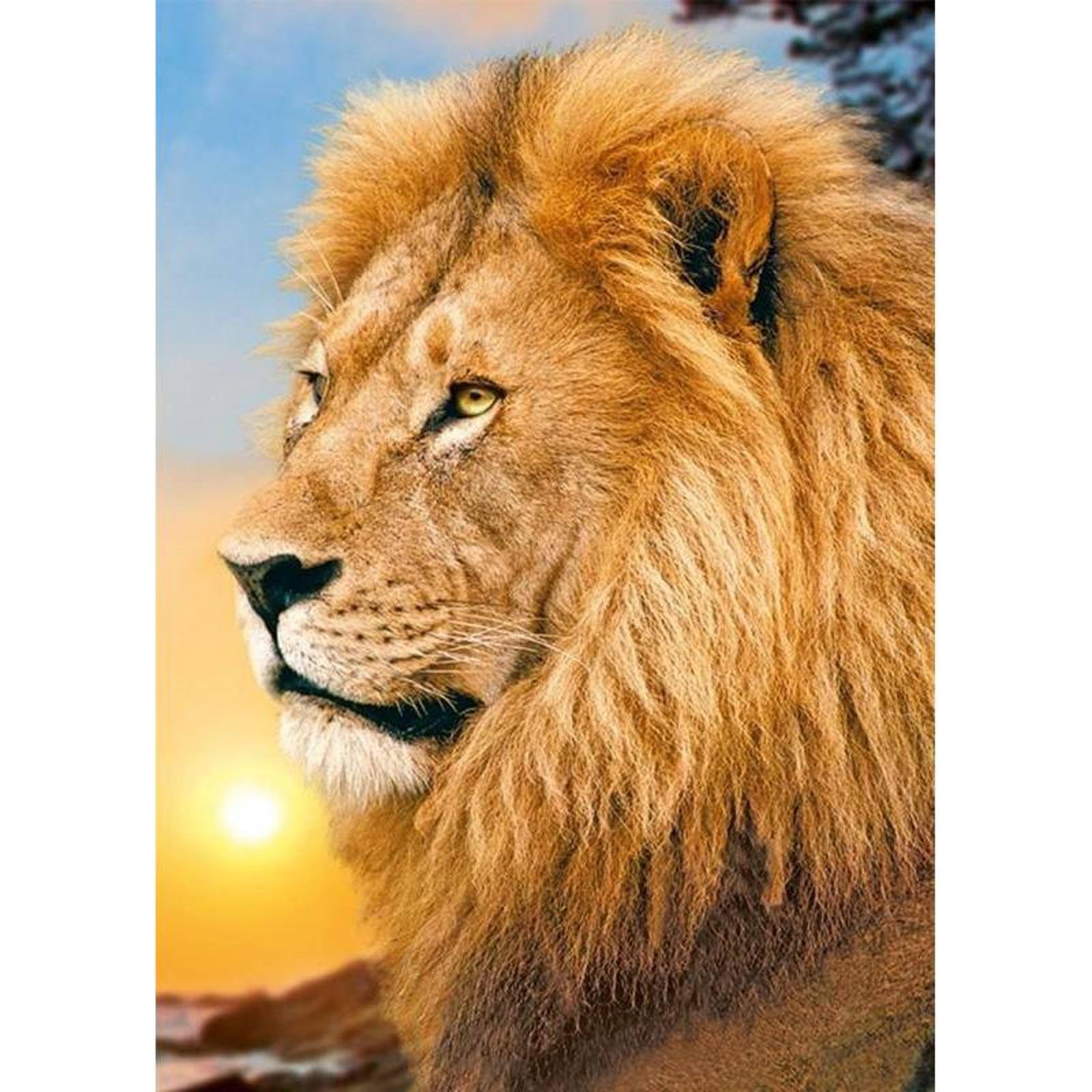 Wizardi Lion King Diamond Painting Kit