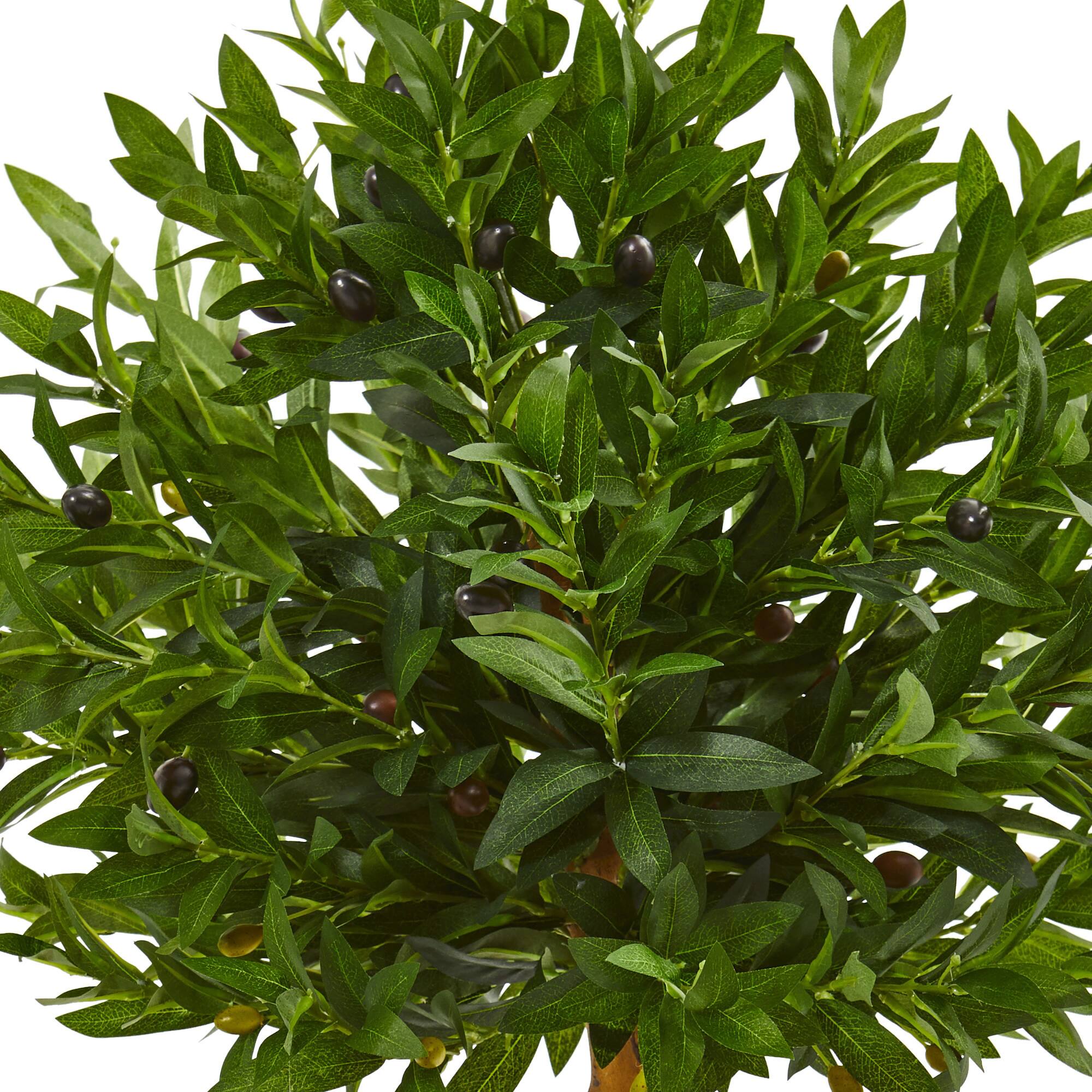 3.5ft. Olive Topiary Tree in Sand Stone Planter