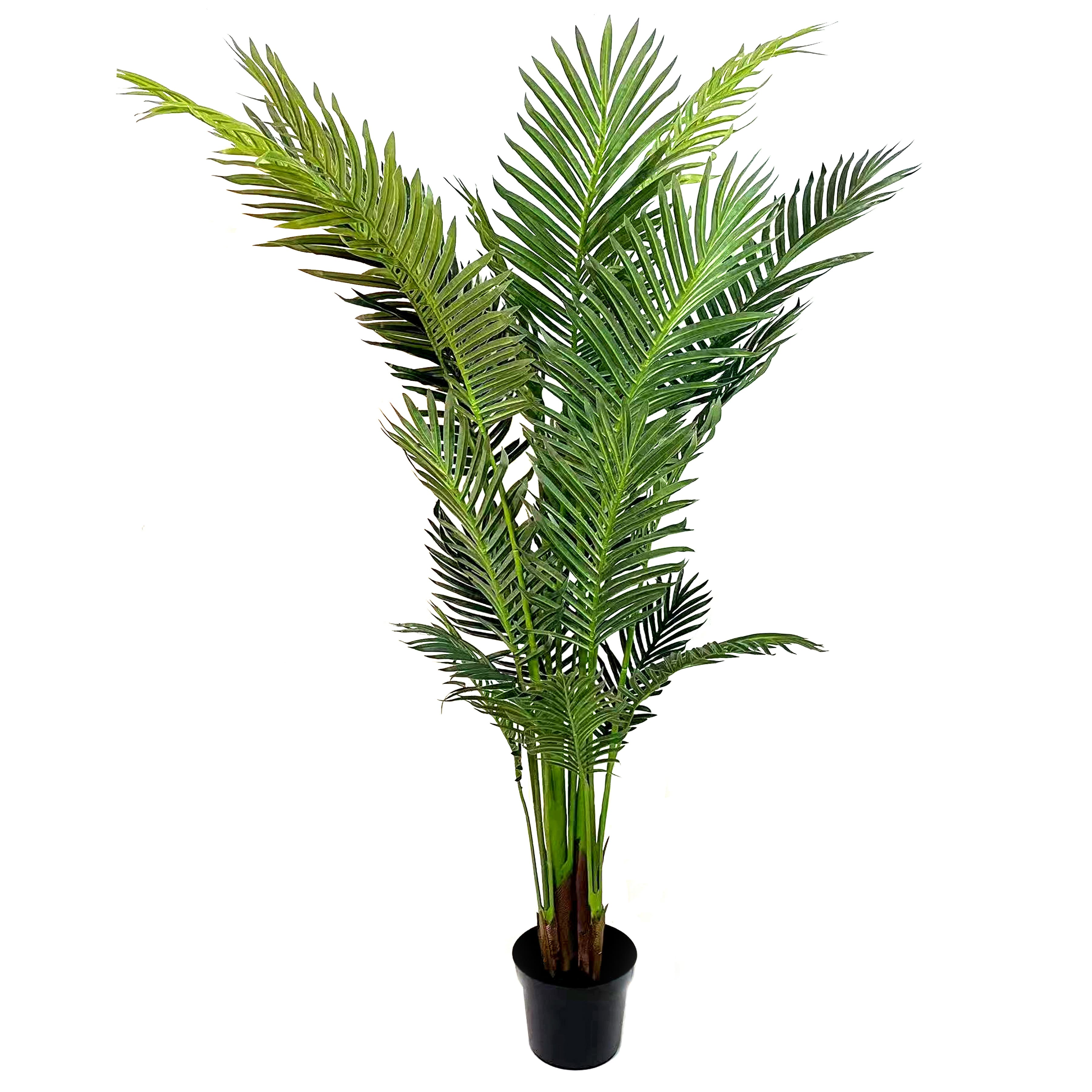6ft. Potted Green Areca Palm Tree by Ashland®