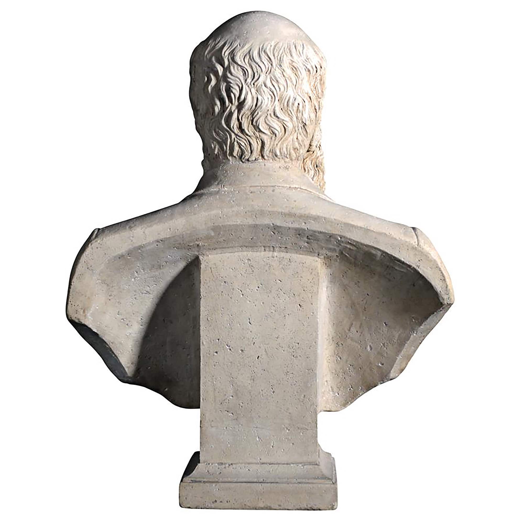 Design Toscano 27" The Evolution of Charles Darwin Bust Statue