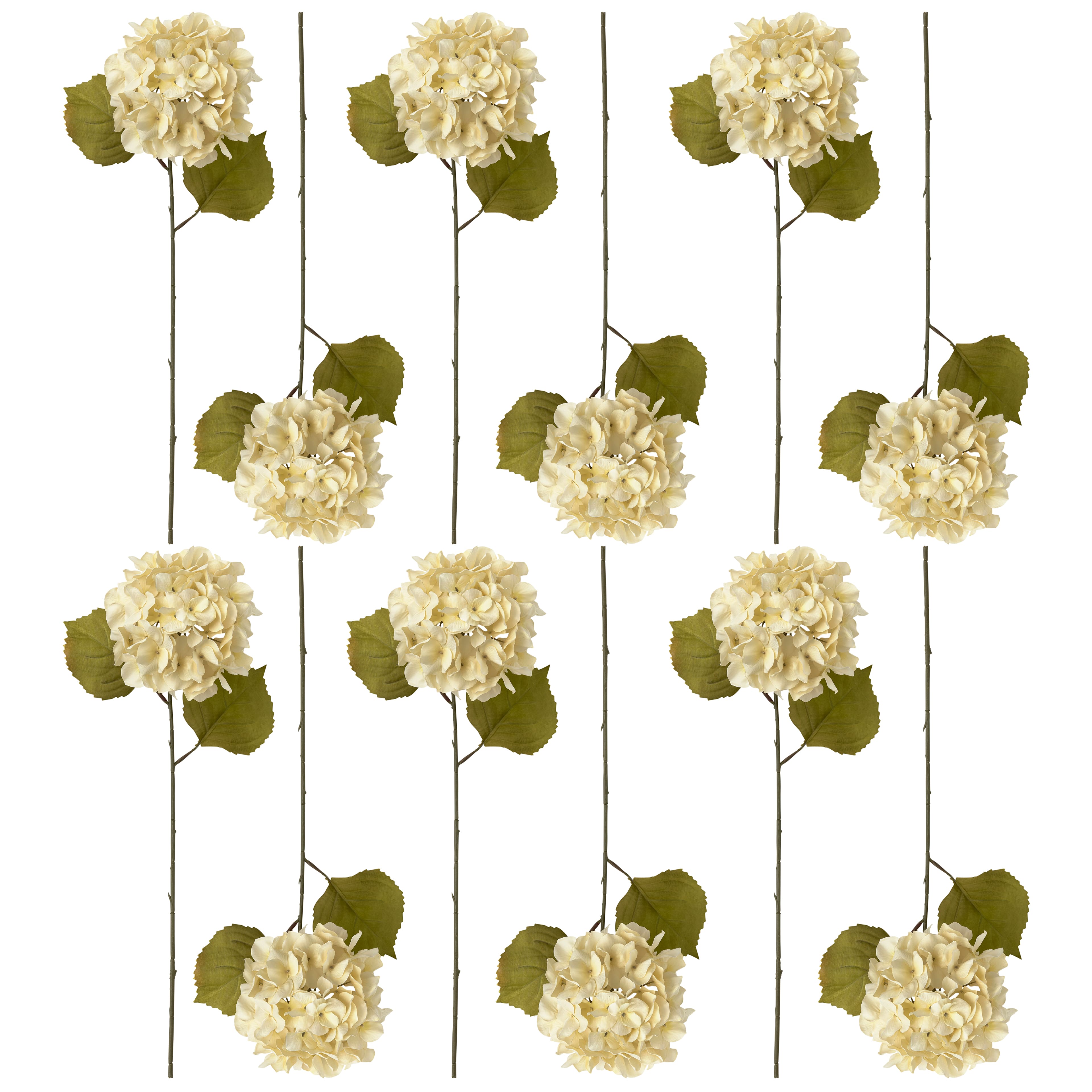 12 Pack: Cream Hydrangea Steam by Ashland®