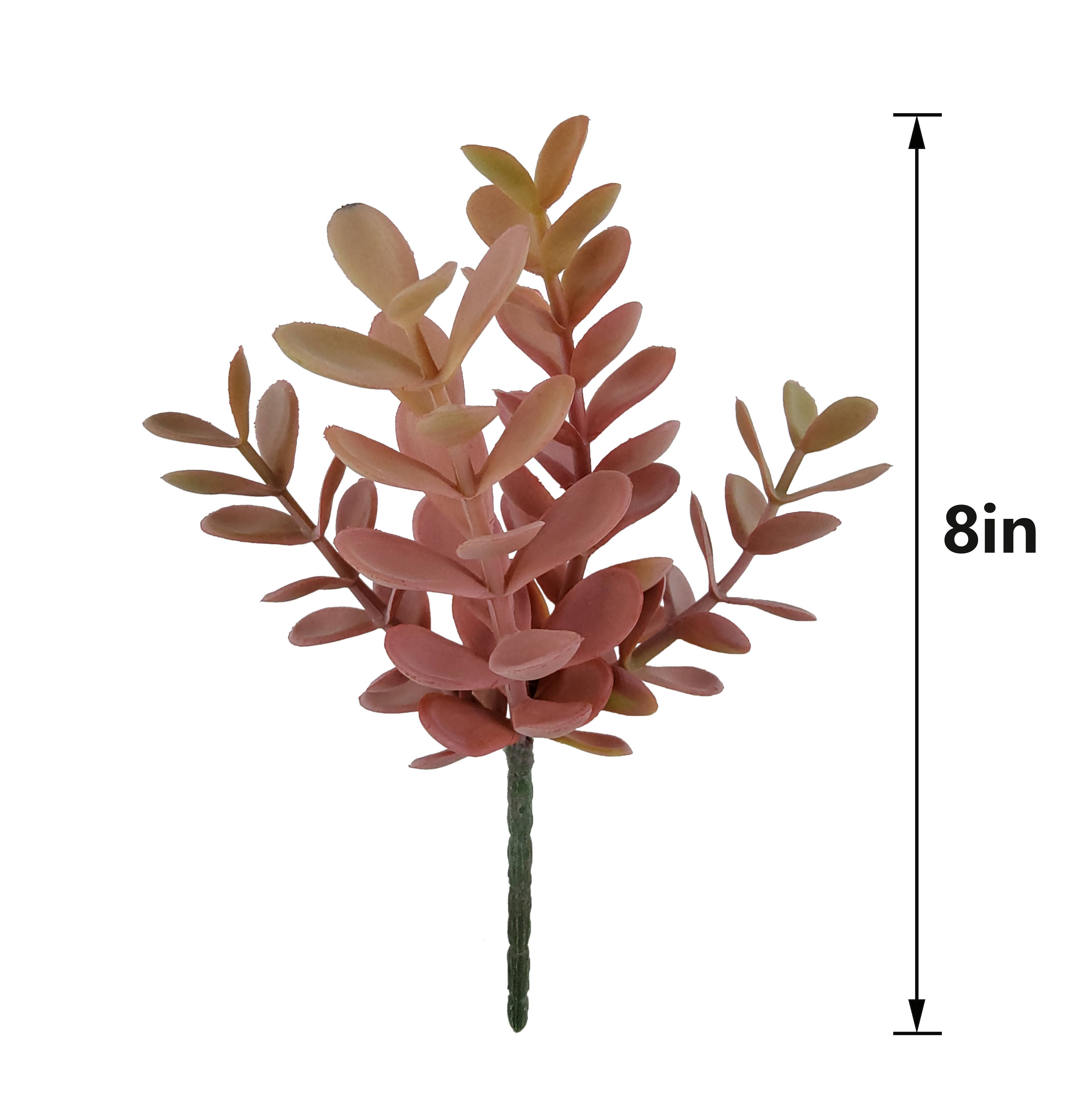 8&#x22; Pink Sedum Pick by Ashland&#xAE;