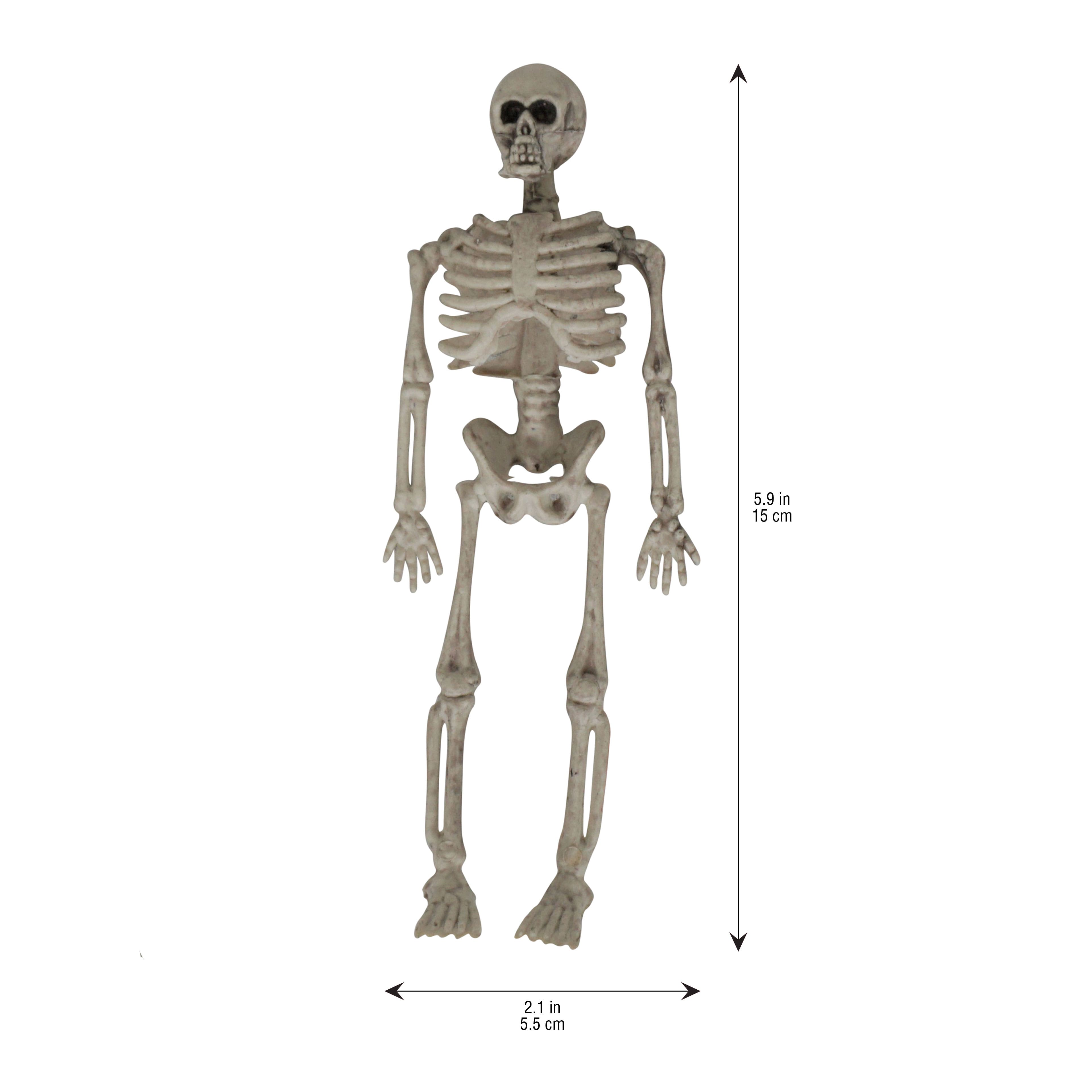 8&#x22; Skeletons, 3ct. by Ashland&#xAE;