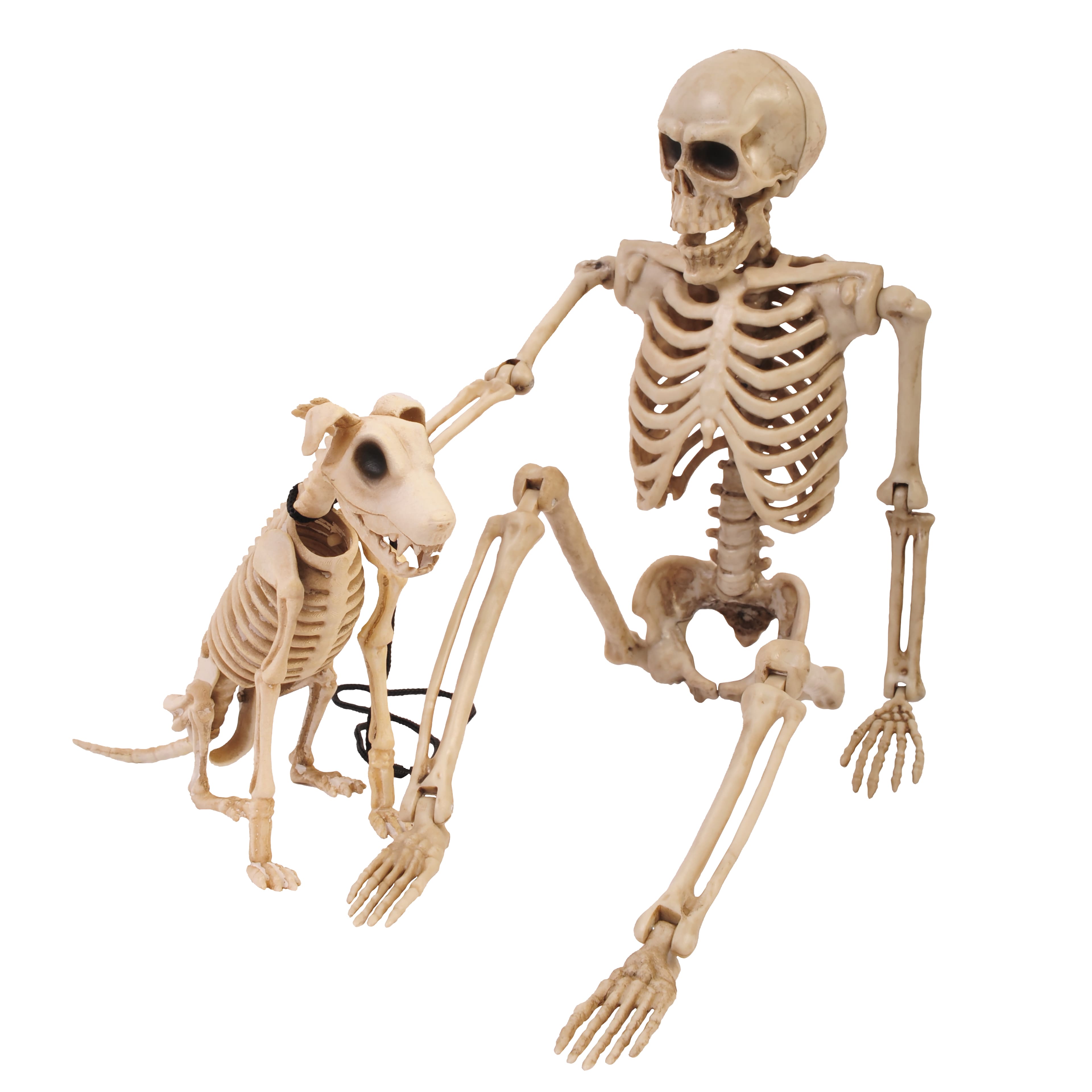 Assorted 15&#x22; Skeleton Pet Walker by Ashland&#xAE;, 1pc.