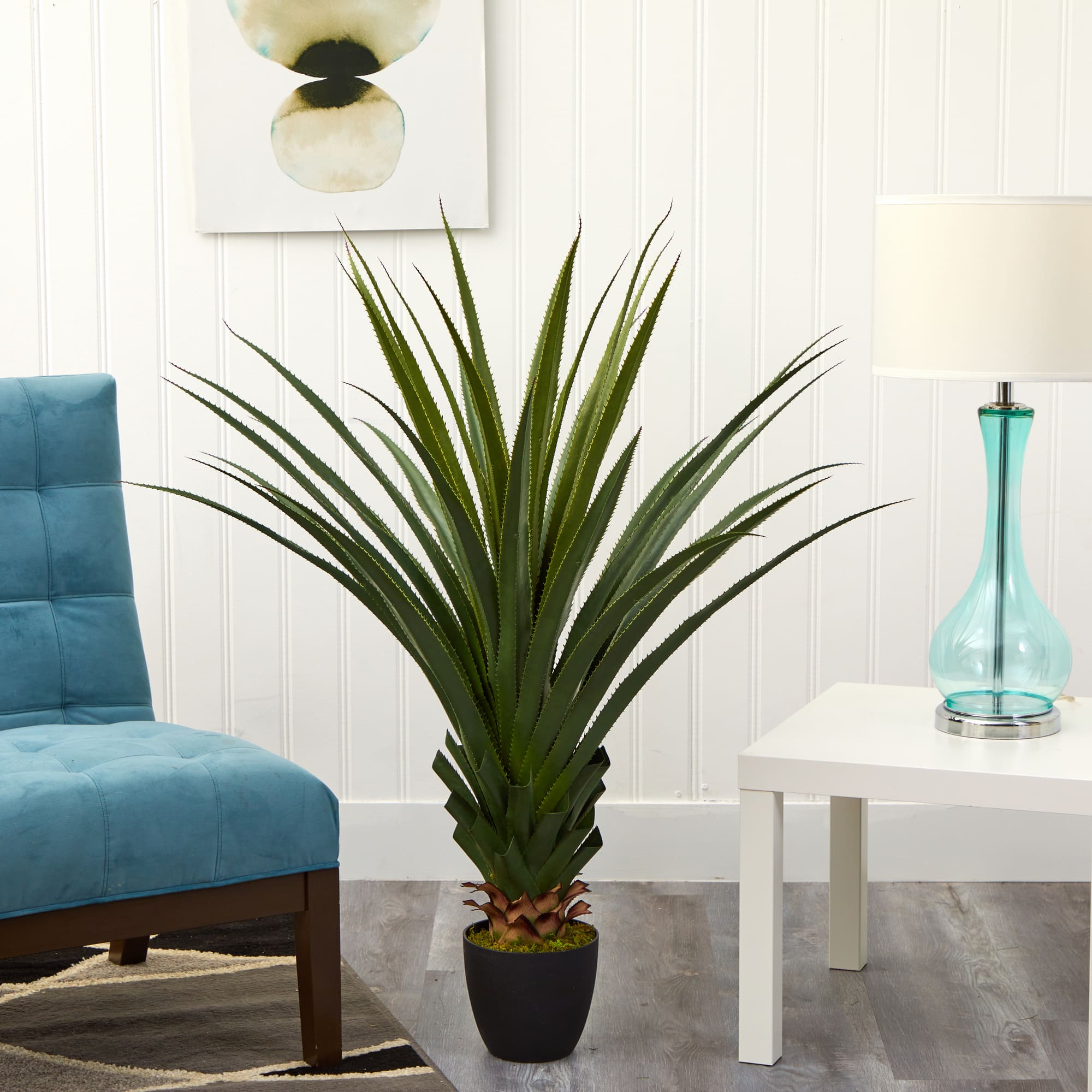 4ft. Potted Spiked Agave Plant