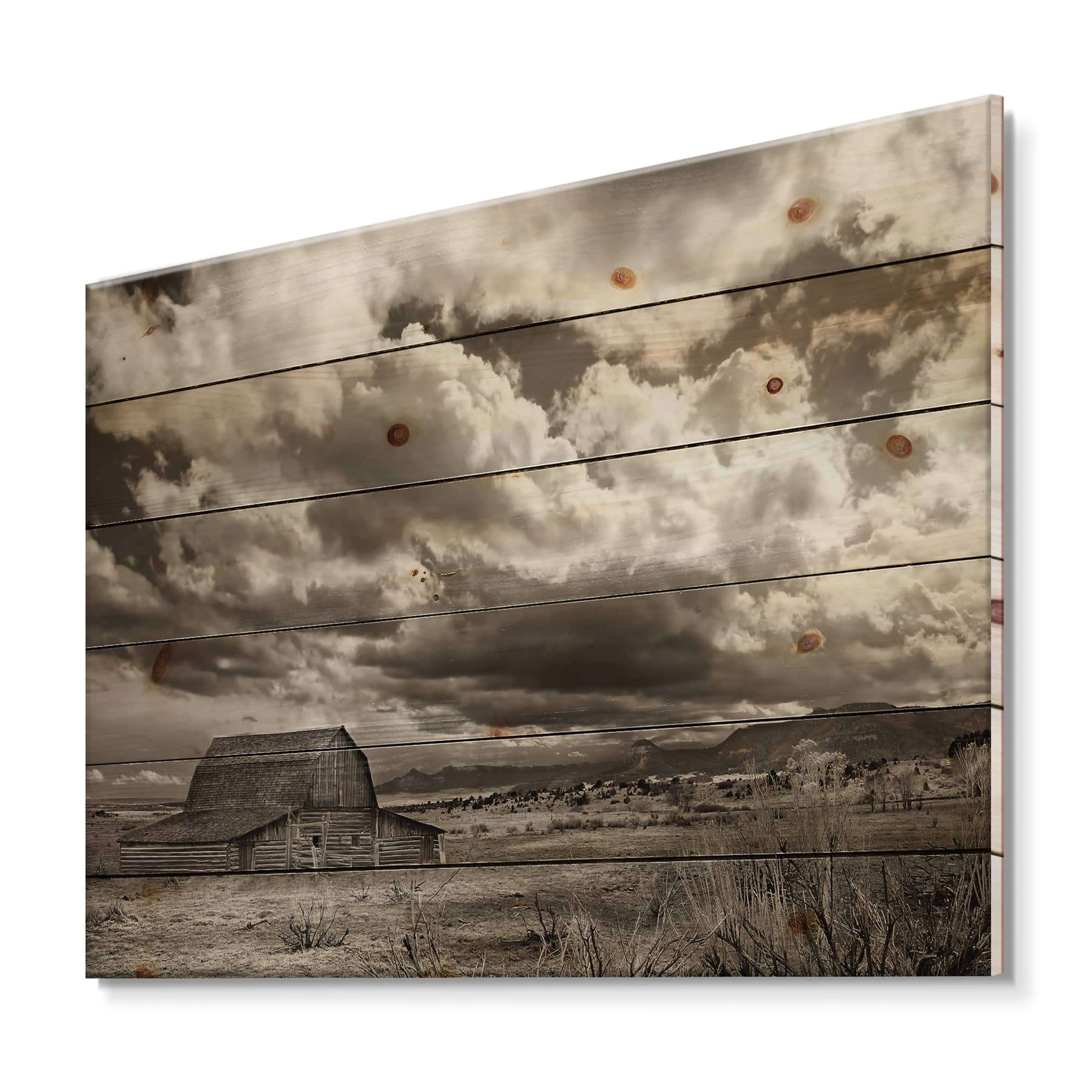 Designart - After The Rain On The Prairie - Traditional Print on Natural Pine Wood