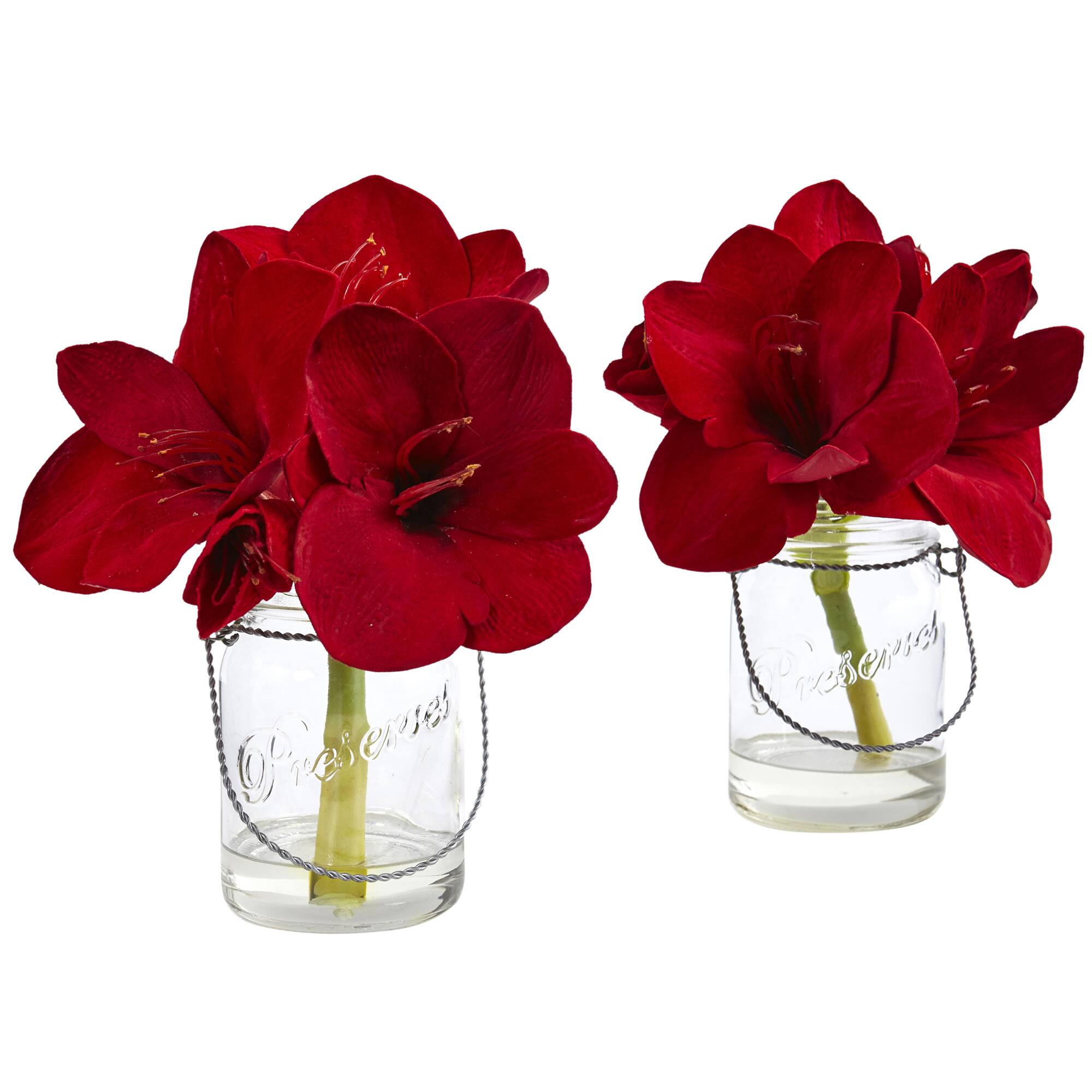 11" Amaryllis Arrangement in Glass Jar, 2ct.