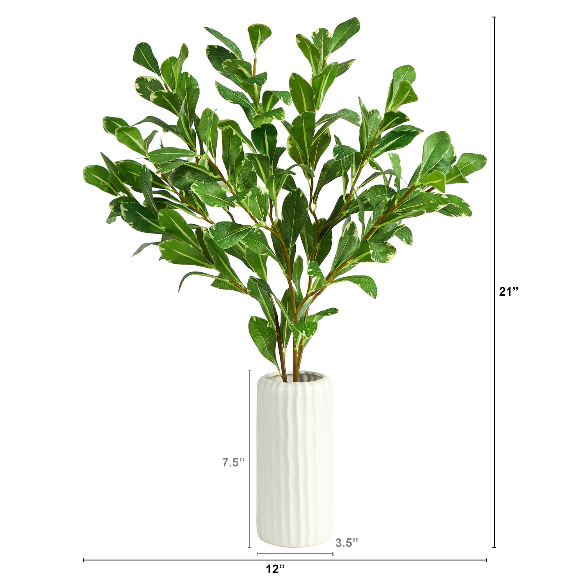 21" Salal Plant in Decorative White Planter