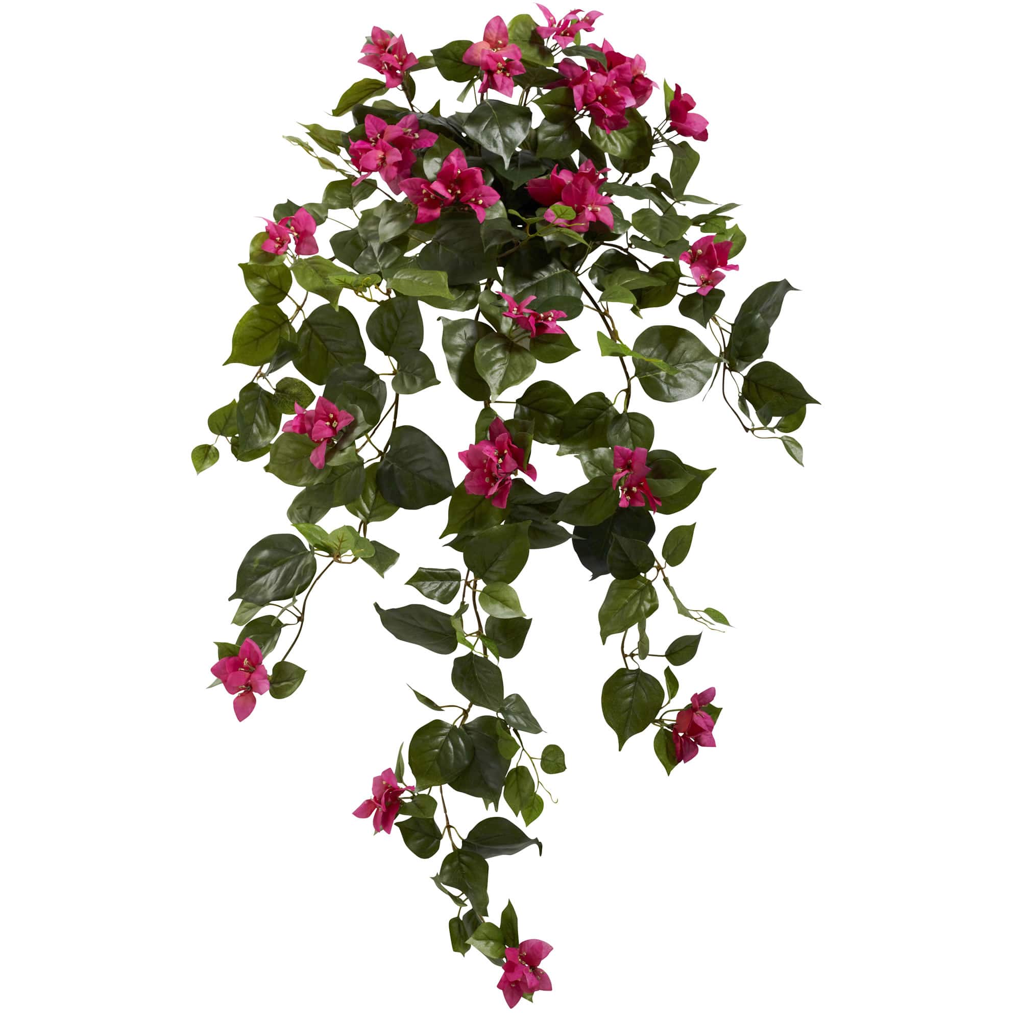 3ft. Bougainvillea Hanging Plant Set