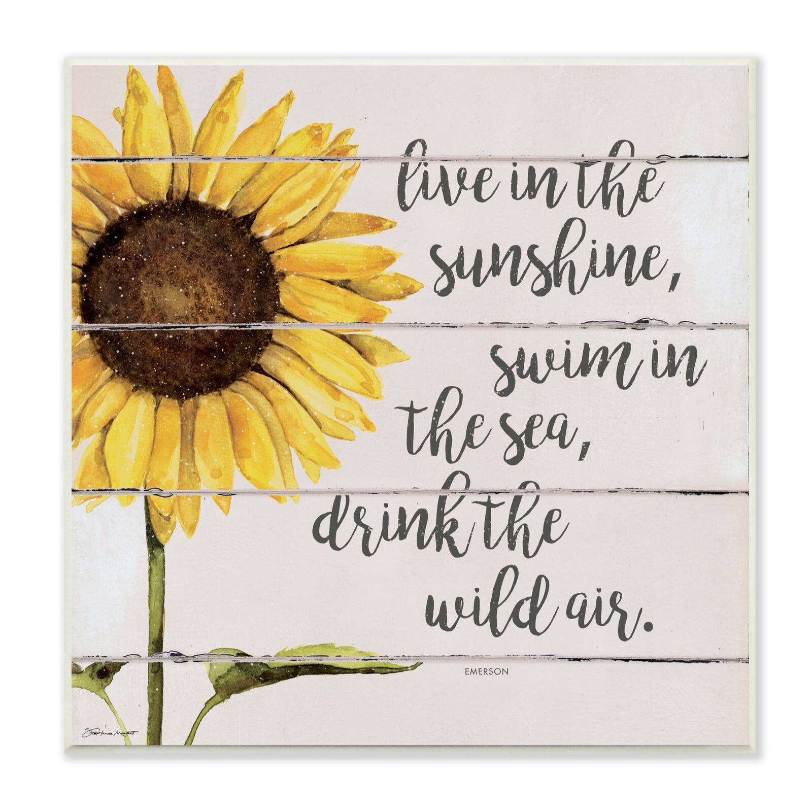 Stupell Industries Live In Sunshine Drink Wild Air Phrase Sunflower,12" x 12"