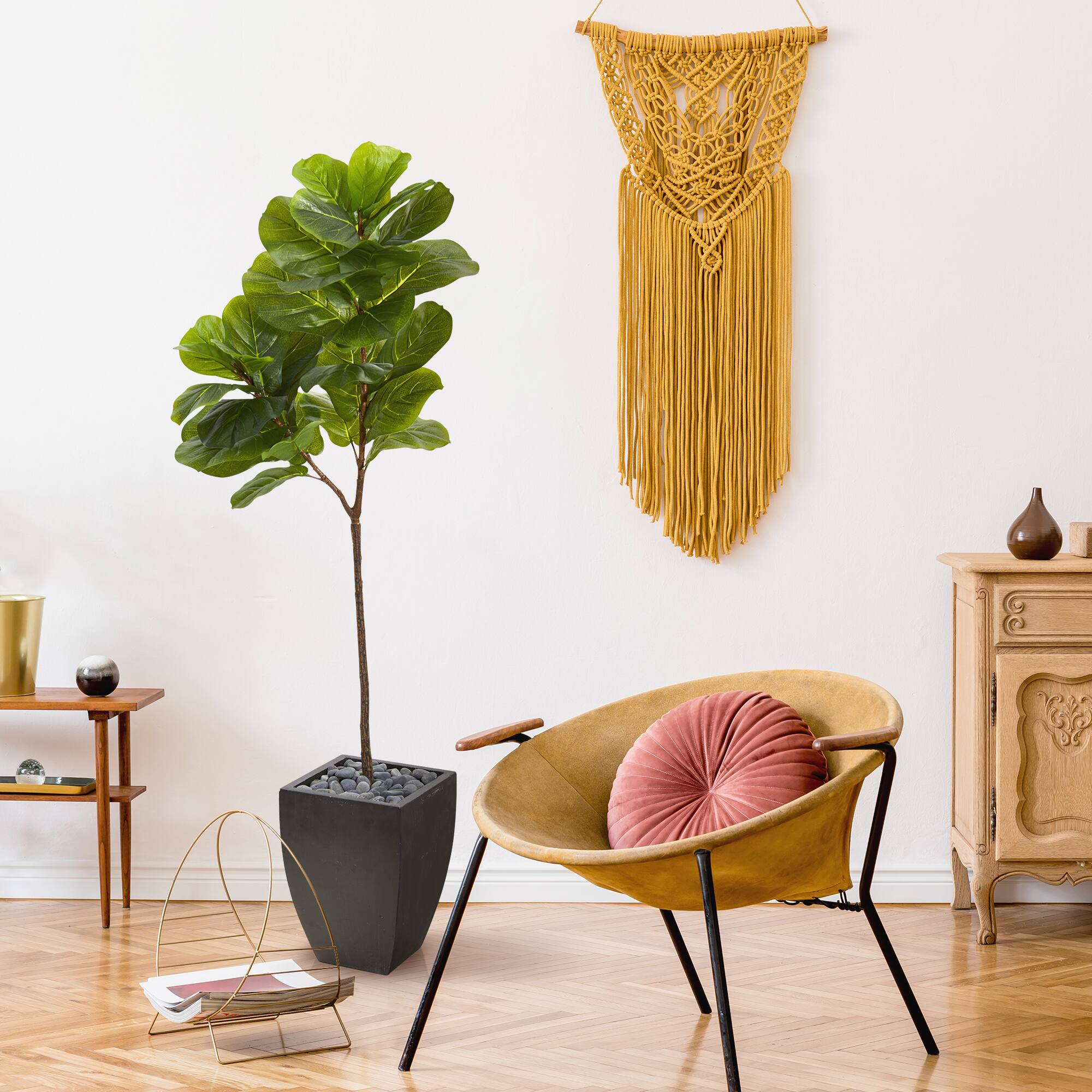 5.5ft. Fiddle Leaf Tree in Black Planter