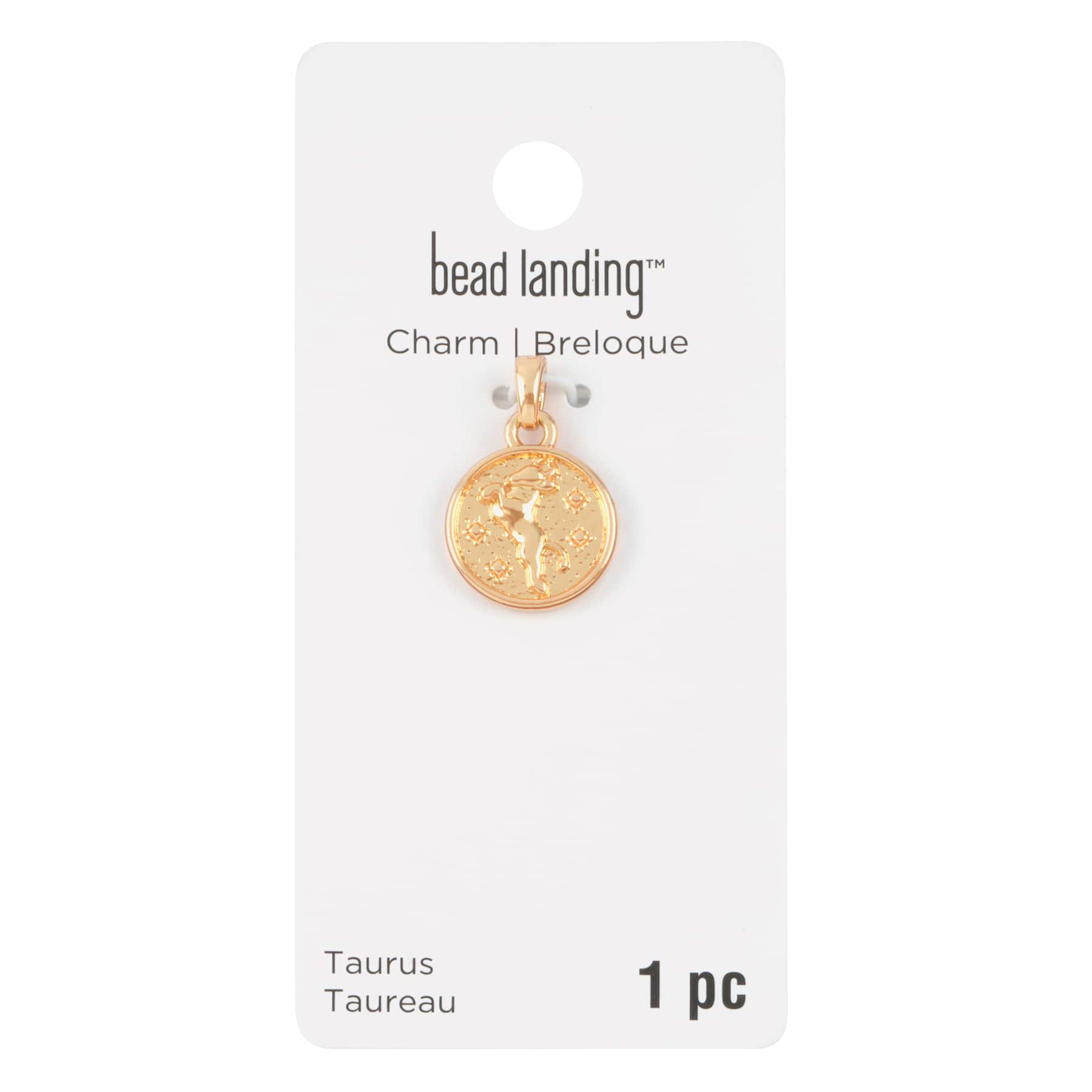 Metal Zodiac Coin Charm by Bead Landing&#x2122;