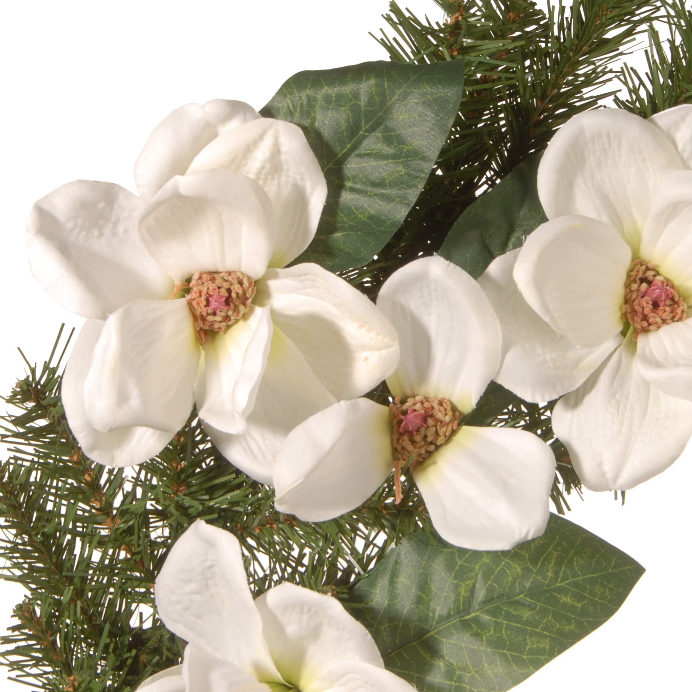 24" North Valley® Spruce Magnolia Wreath