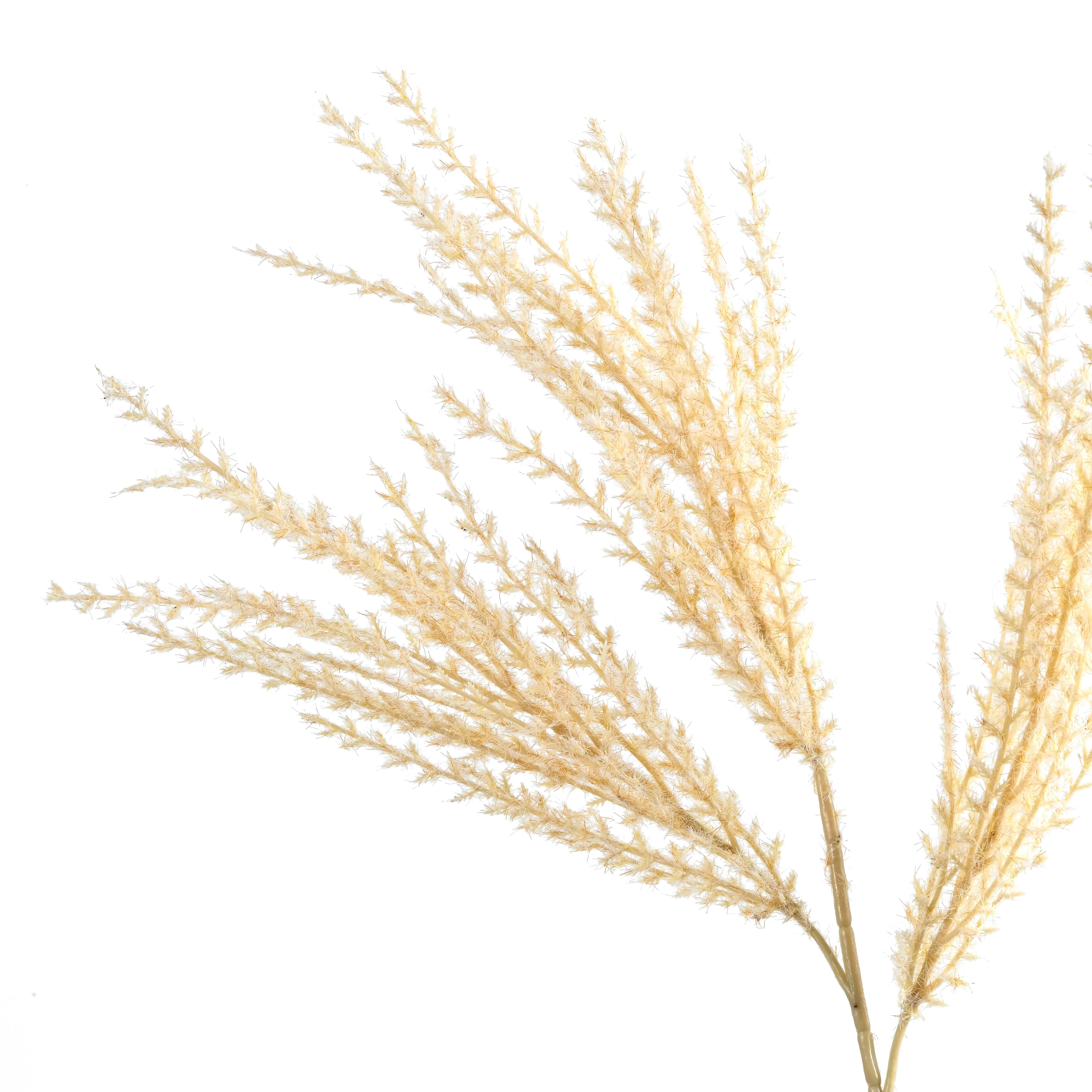 31" Cream Mini Pampas Stem by Ashland®