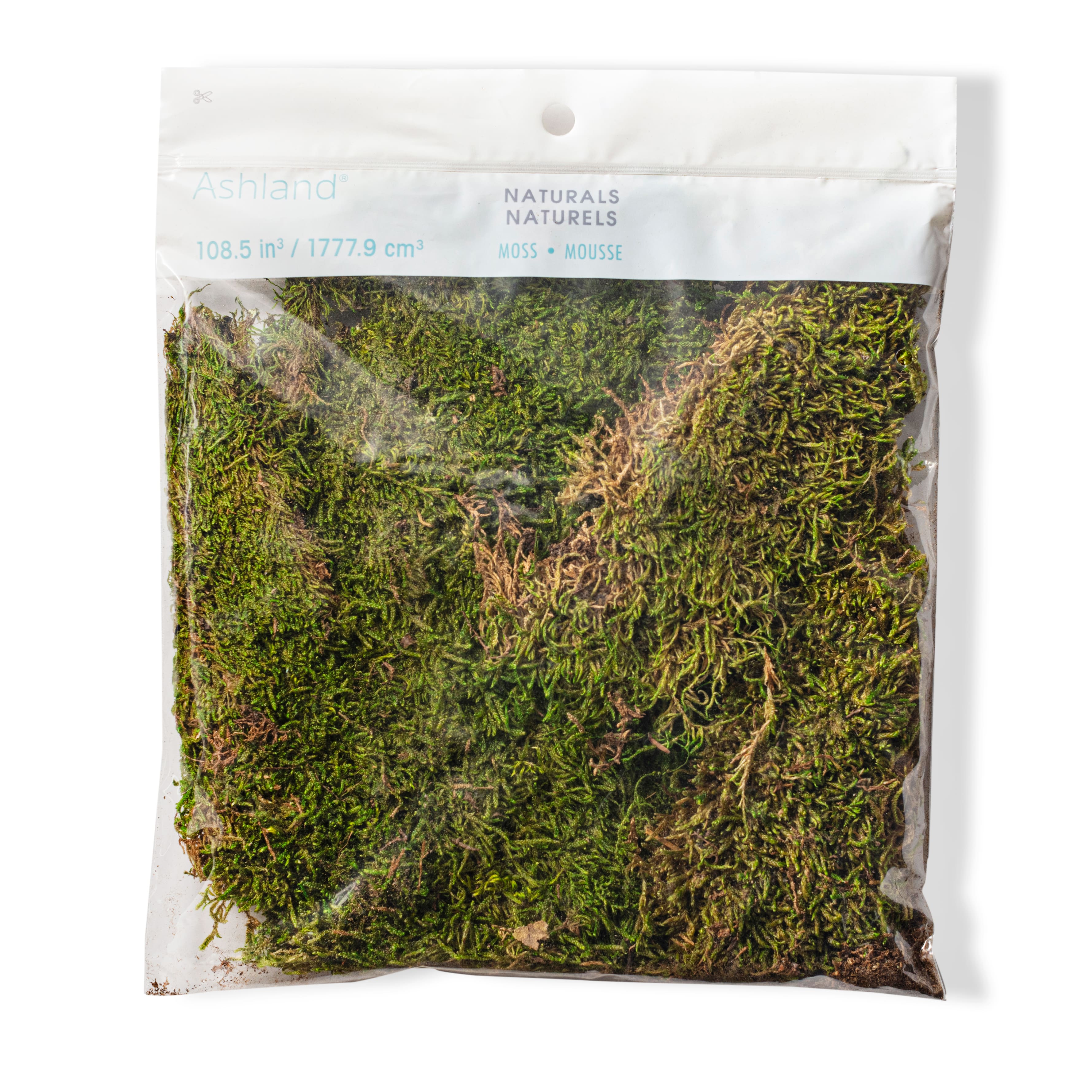 Forest Green Preserved Moss by Ashland®