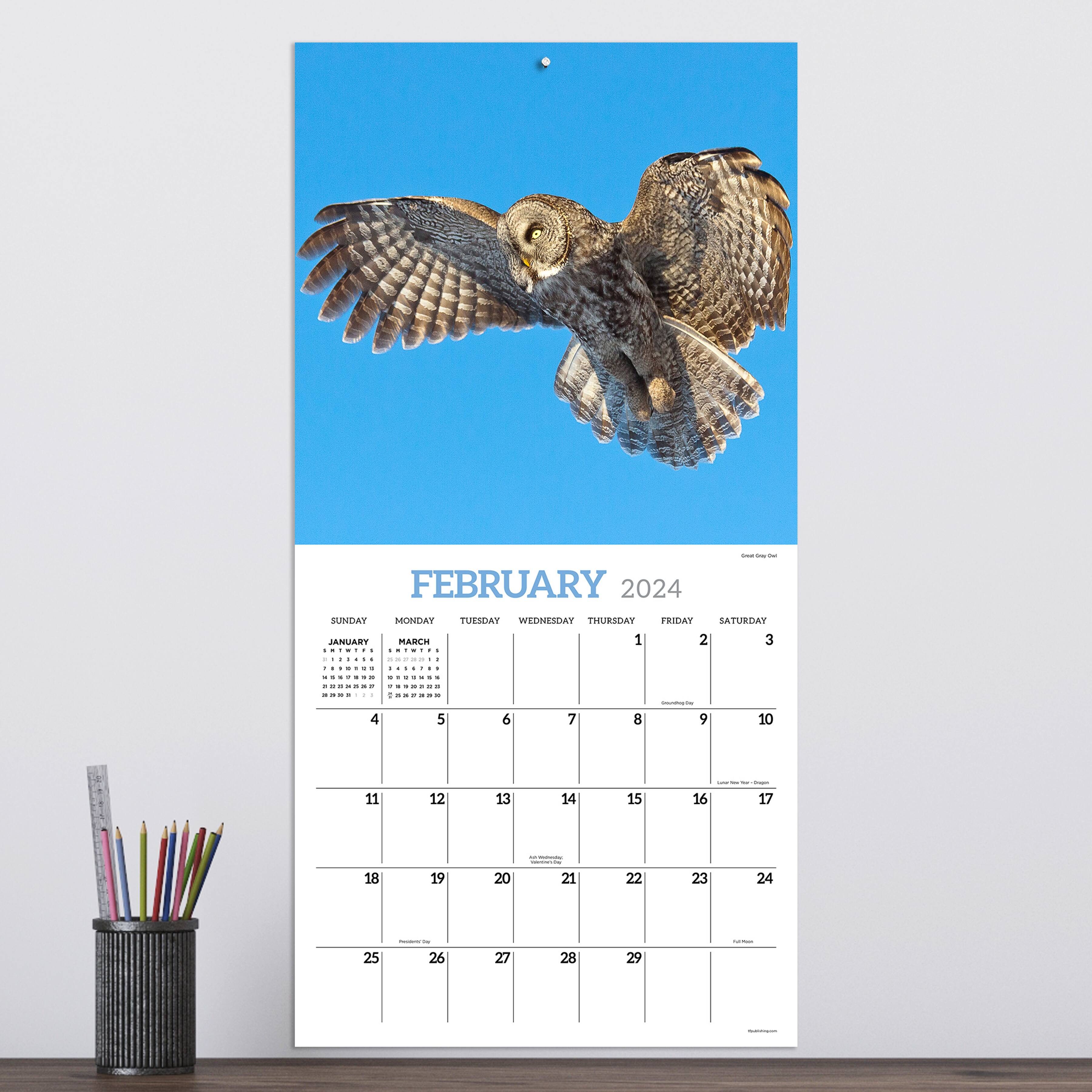 TF Publishing 2024 Owls Wall Calendar