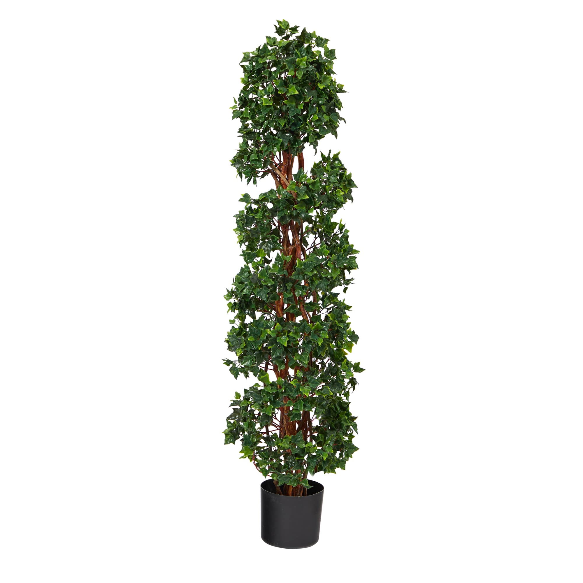 4.5ft. Potted English Ivy Spiral Topiary Tree Michaels