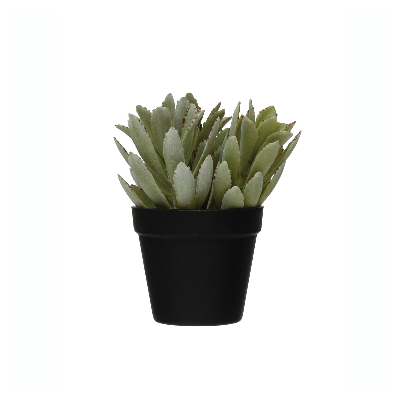 Hello Honey&#xAE; Faux Succulent In Pot