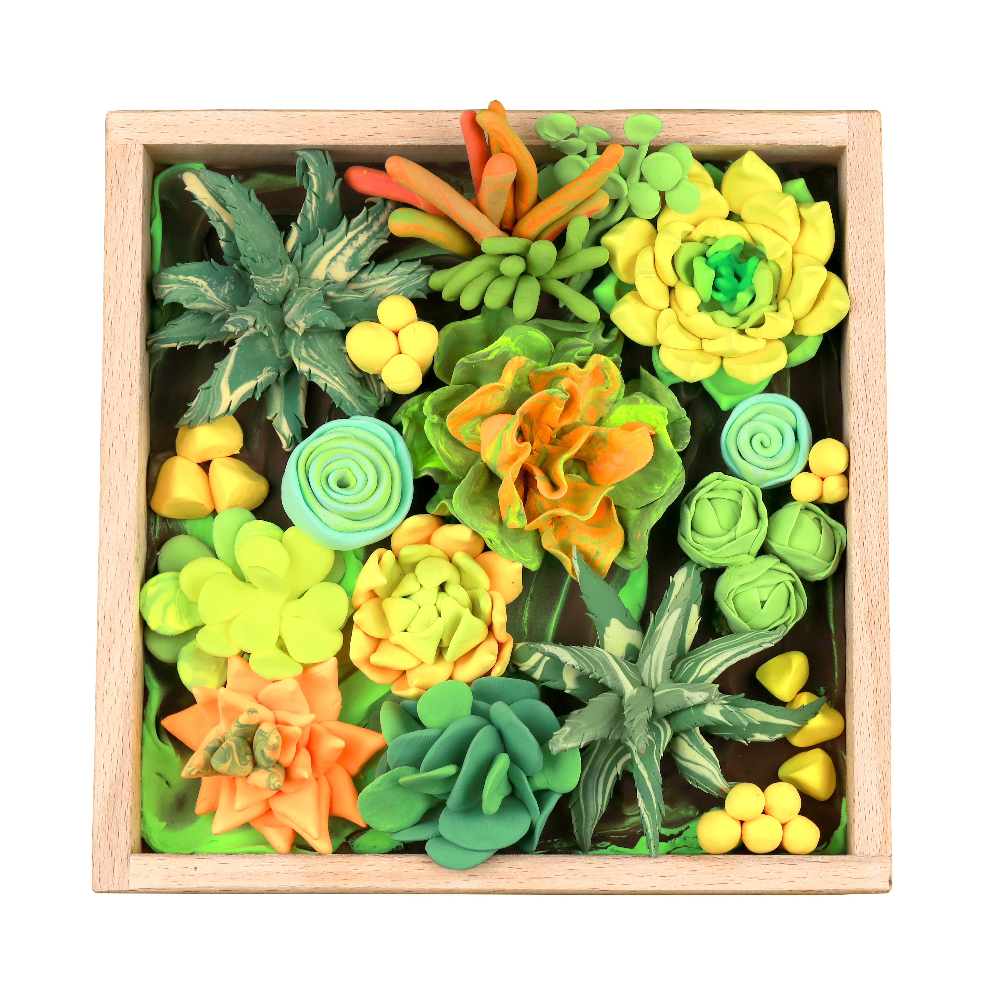 OKTO DIY Wood &#x26; Craft Energy Succulents Clay Kit